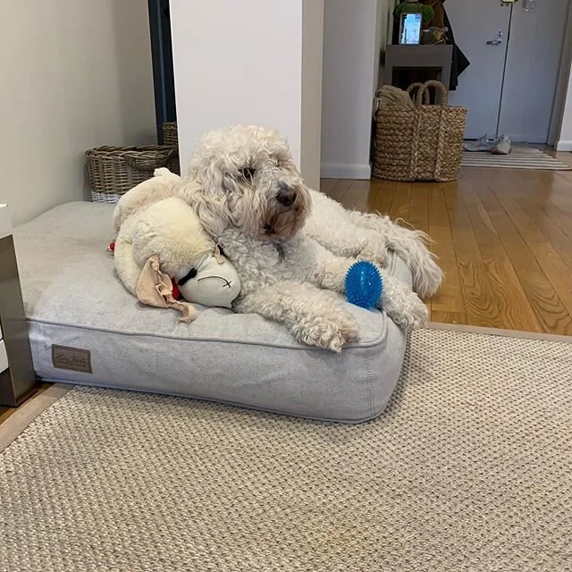 Lean on me