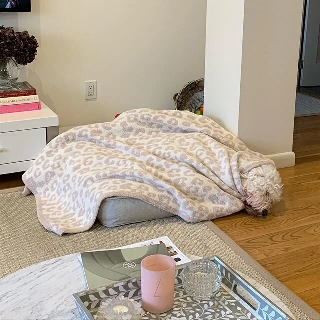 Insanely tired after a trip to Camp Grandma's