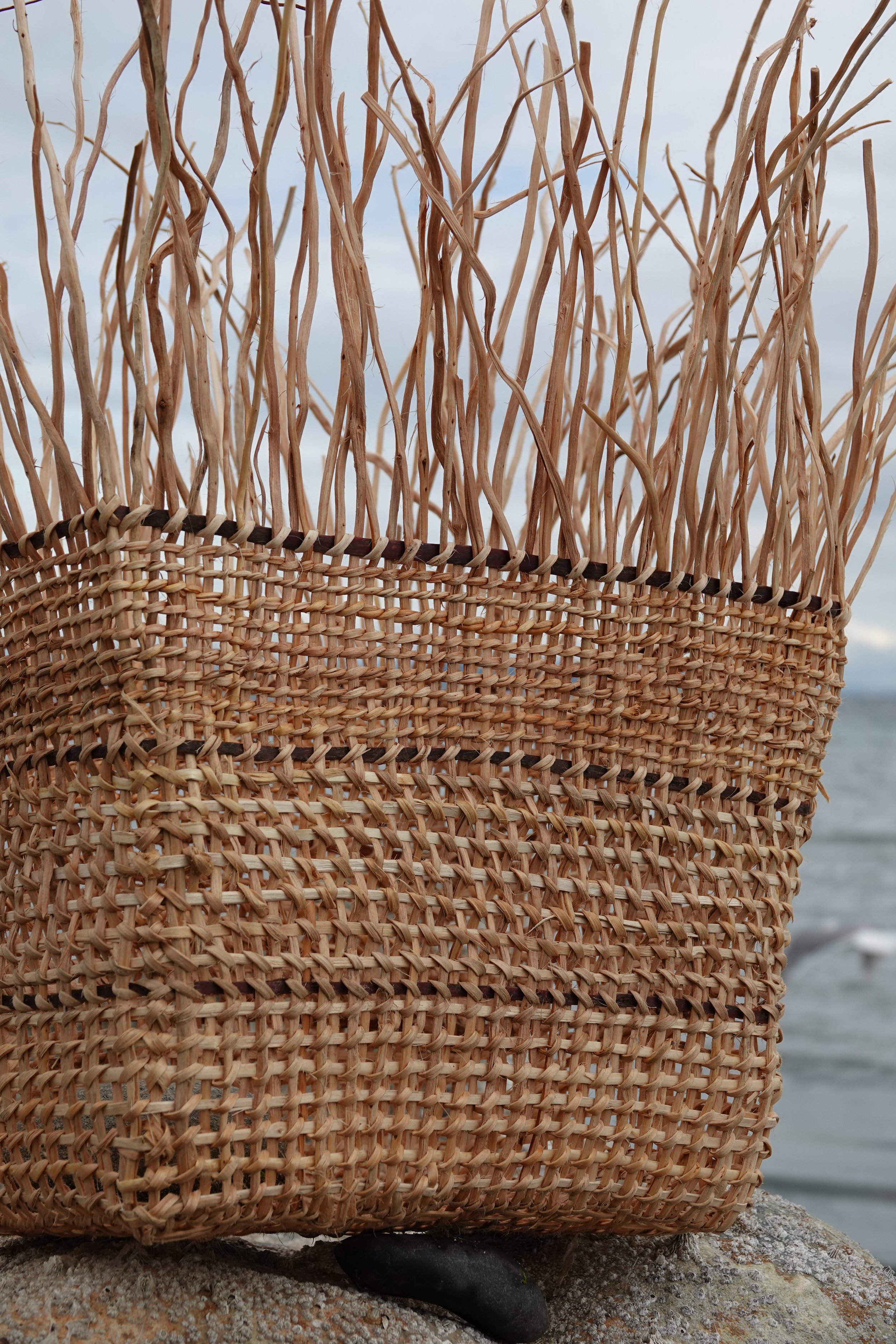 Archaeology Basket Photo  by Dale Croes.JPG