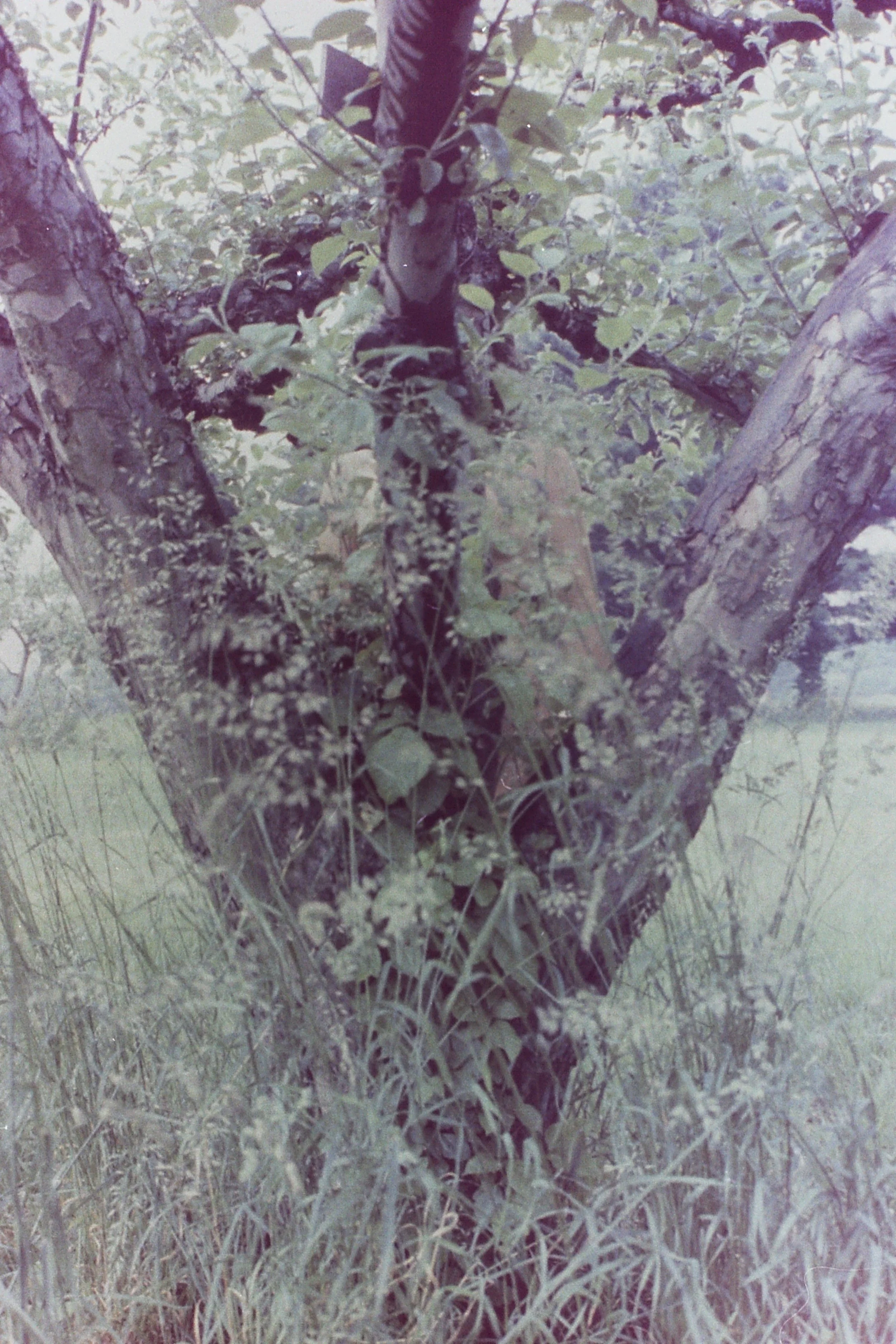 PICT1066.JPG