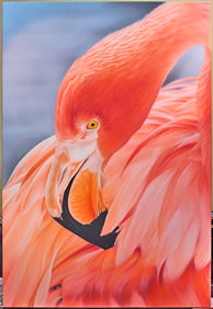 FlamingoCanvasSm.jpg