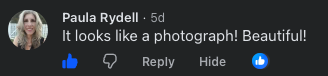 Screenshot of a social media comment praising a photograph as beautiful.