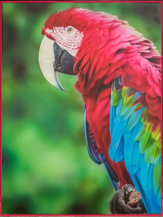 Close-up of a colorful macaw parrot with red, green, and blue feathers, perched on a branch with a blurred green background.
