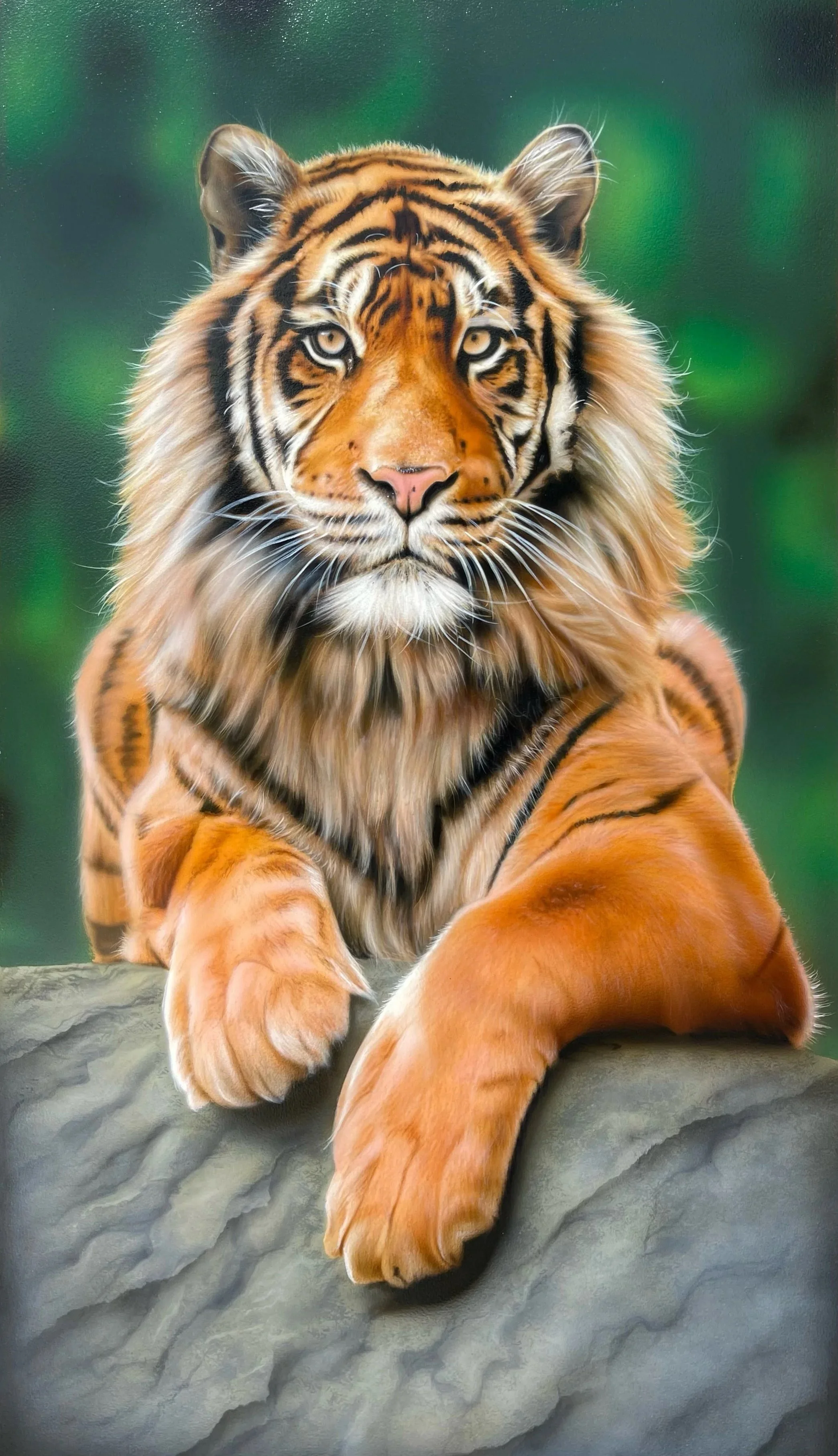 A tiger with orange fur and black stripes lying on a rock, with a blurred green background.