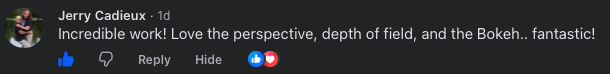 Screenshot of a social media comment praising a photography work for the perspective, depth of field, and Bokeh effect.