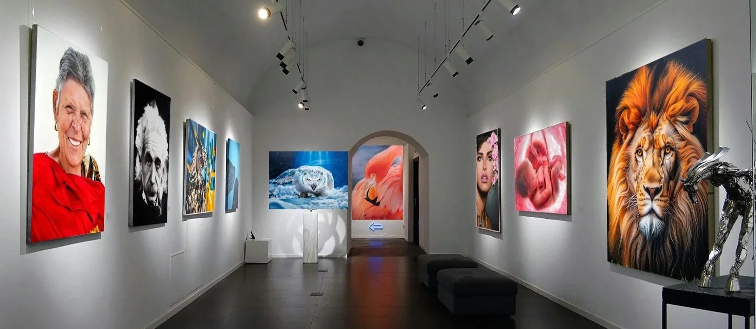 An art gallery displays multiple colorful portraits and paintings on white walls, including a smiling elderly woman, a black and white image of Einstein, a polar bear, a flamingo, a woman in traditional attire, a baby, a lion, and a shark. The gallery has track lighting and dark wood floors.