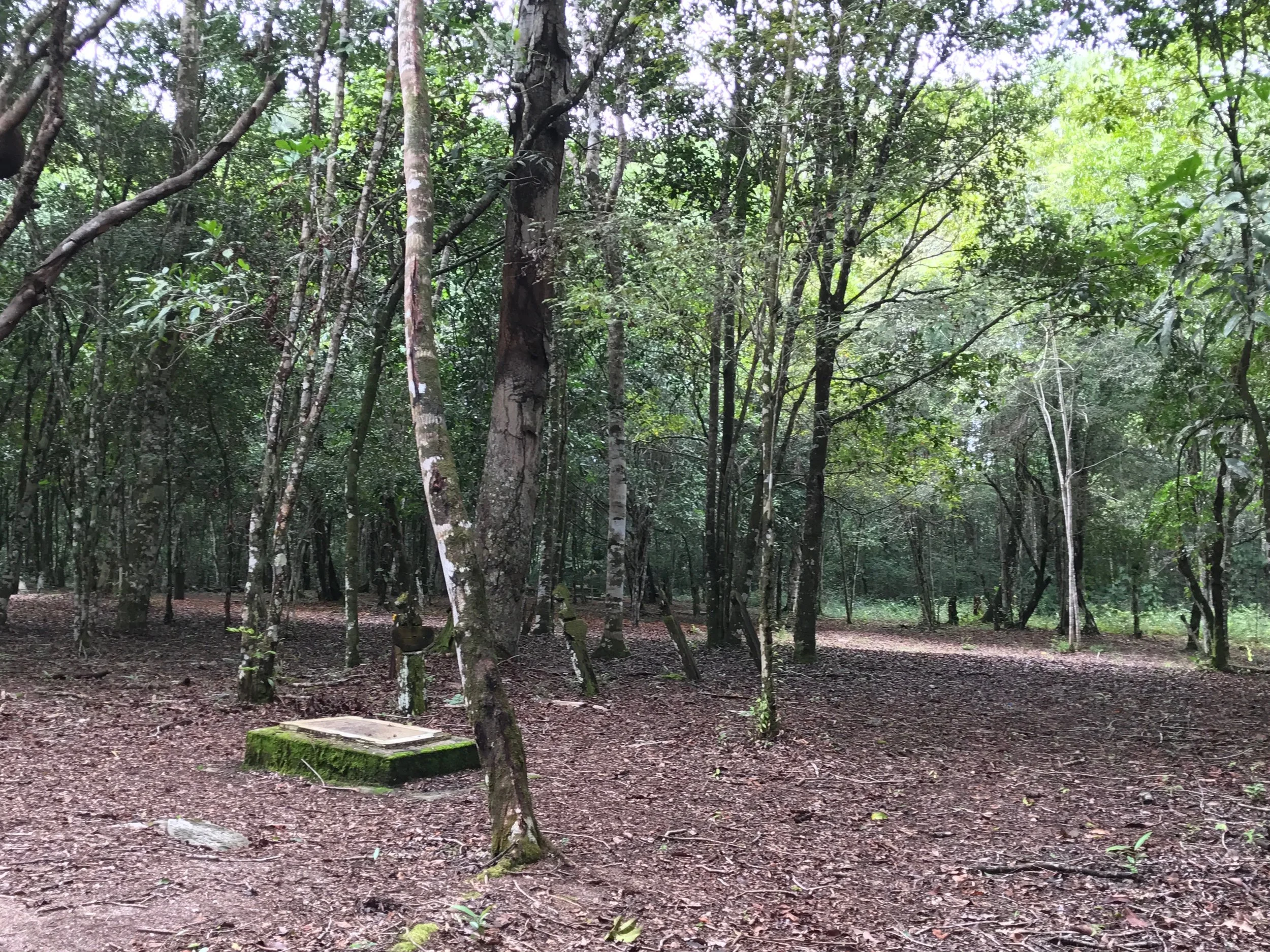 African Cemetery