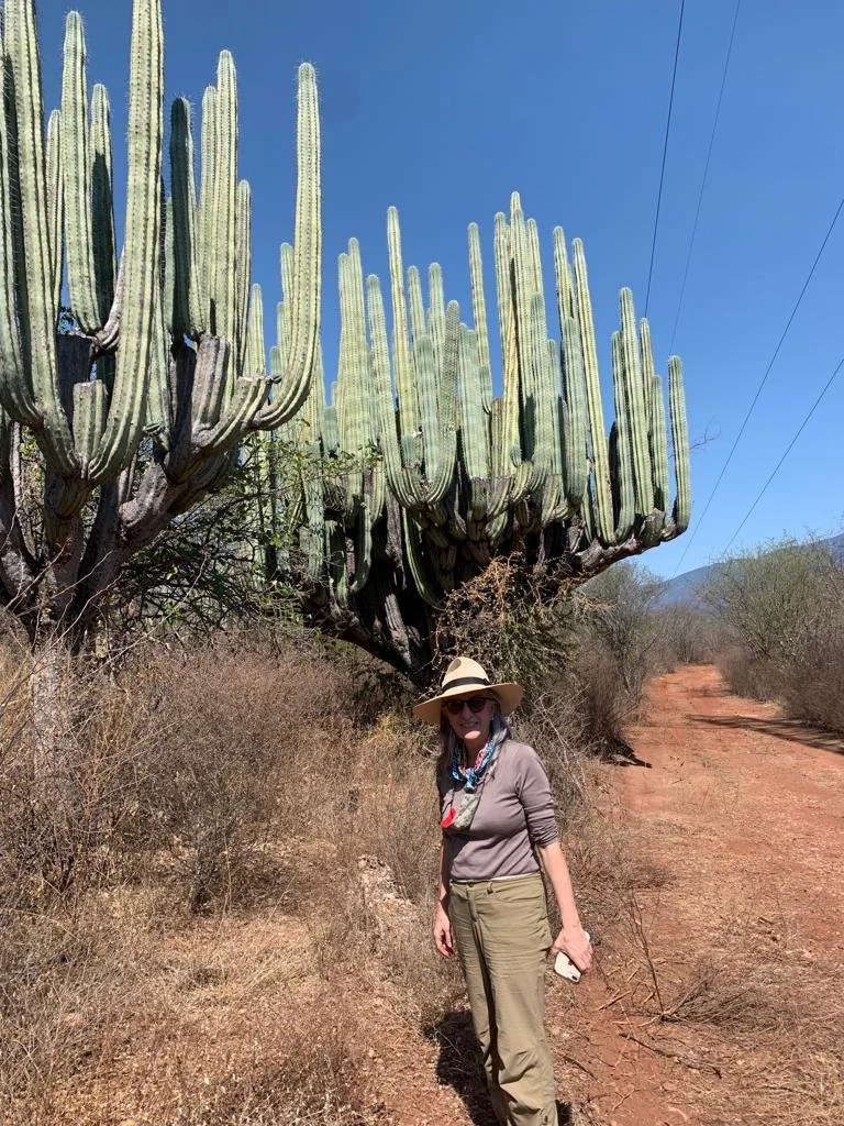 Reserva de la Biosfera Tehuacán-Cuicatlán, Oaxaca 
