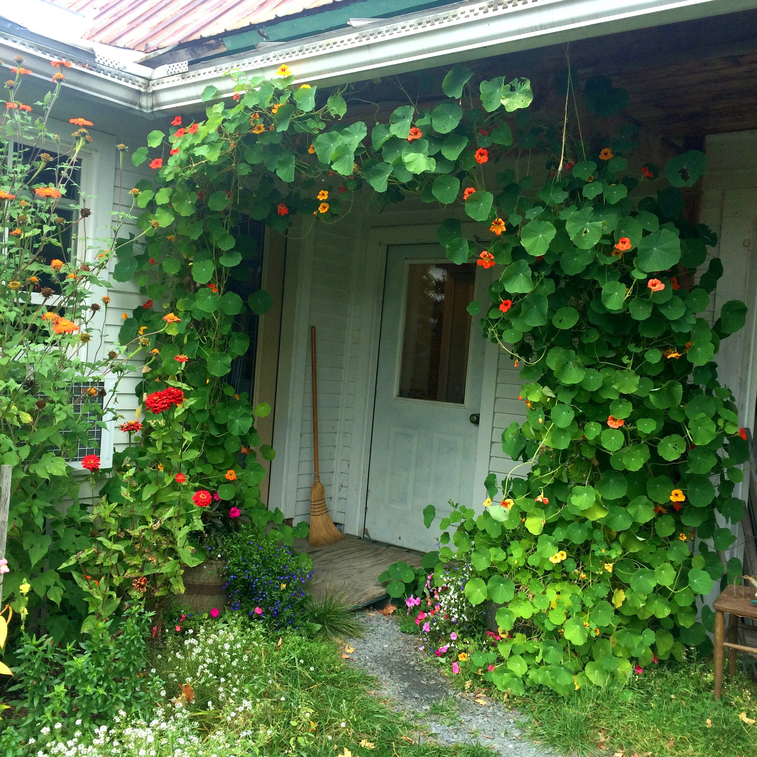 Bakery entrance 2019forSummer26.jpg