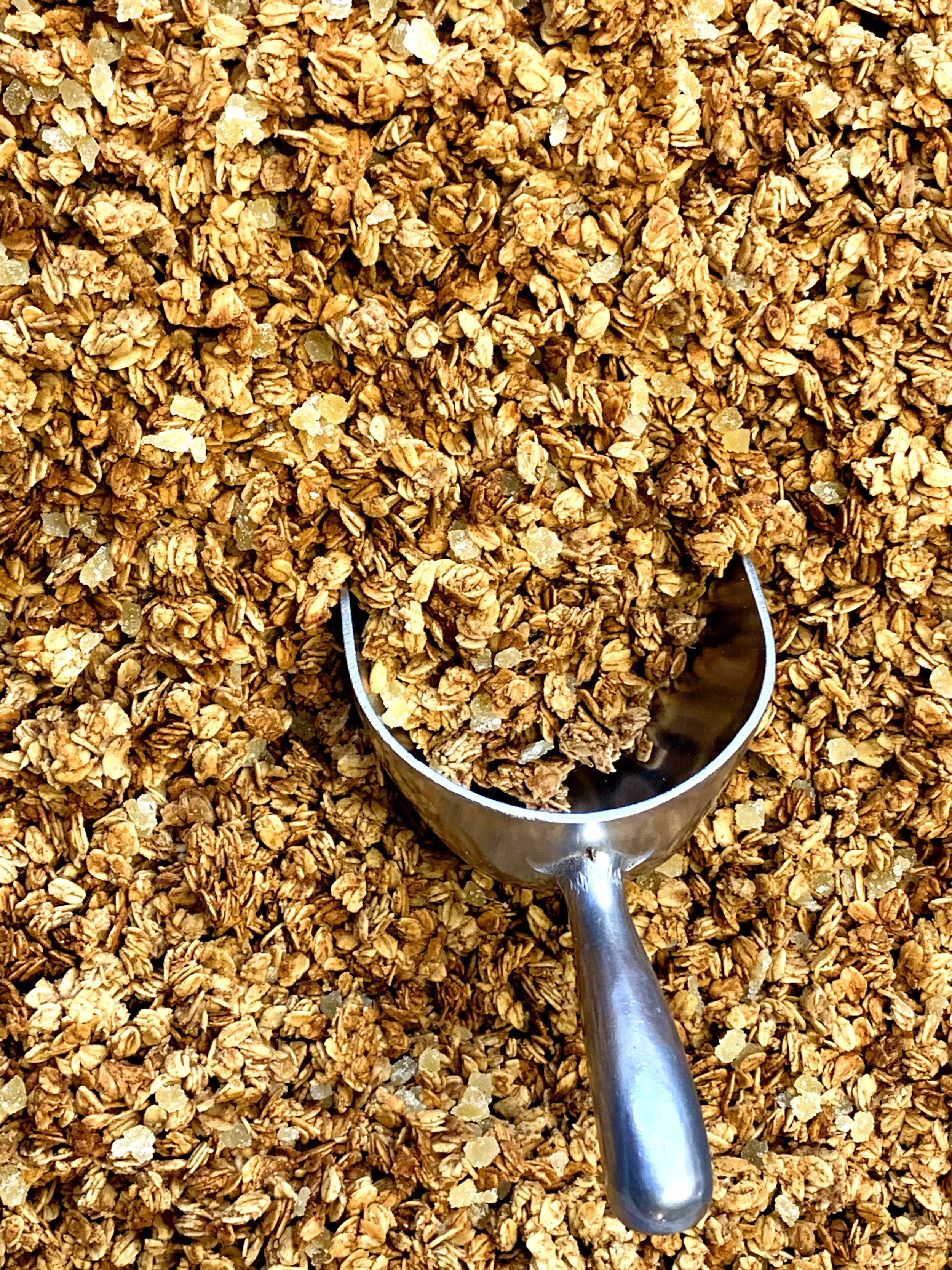 Ginger Bootstrap Picalt.jpg