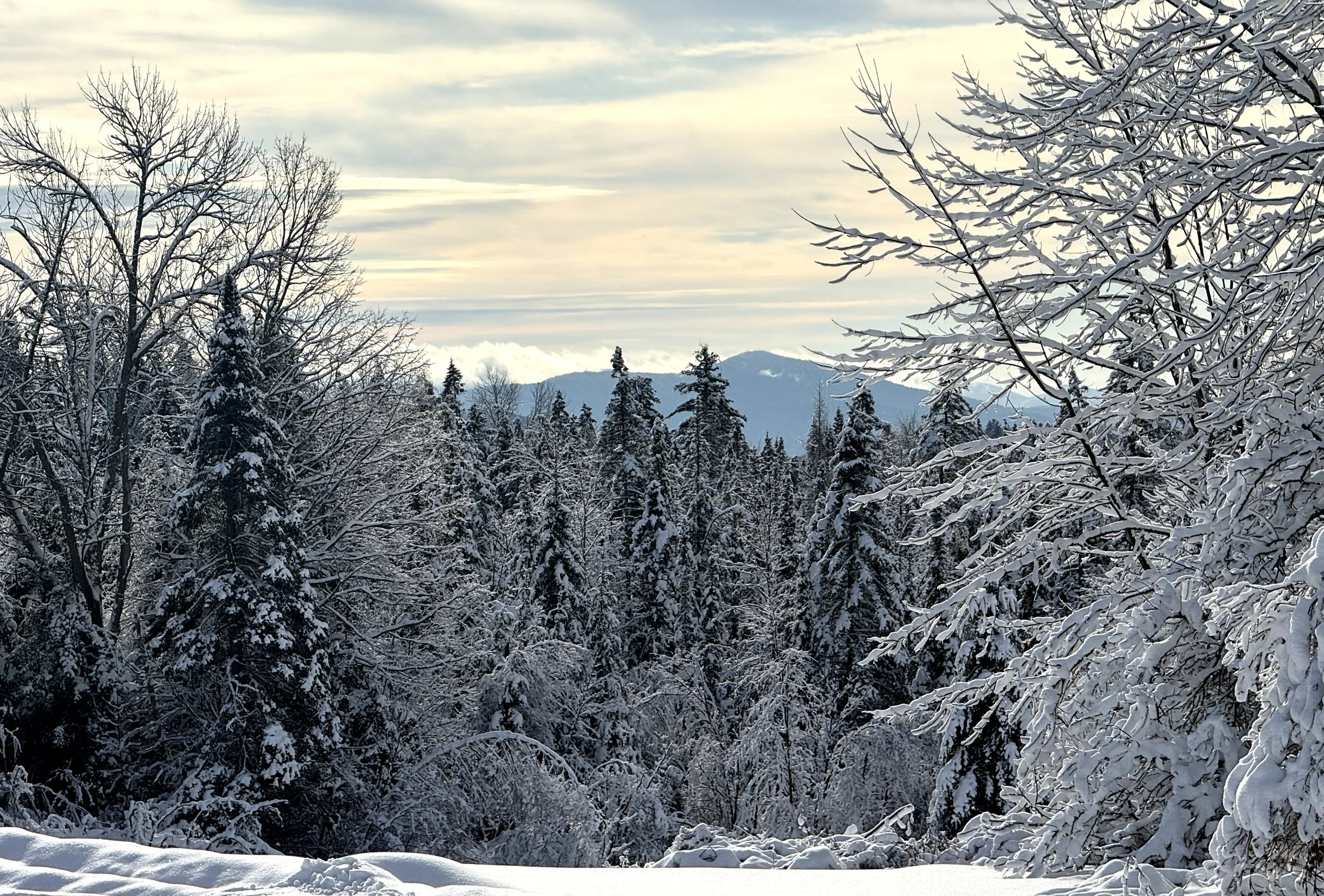 Winter View of Spruce Mtn - 01_26crppd.jpg