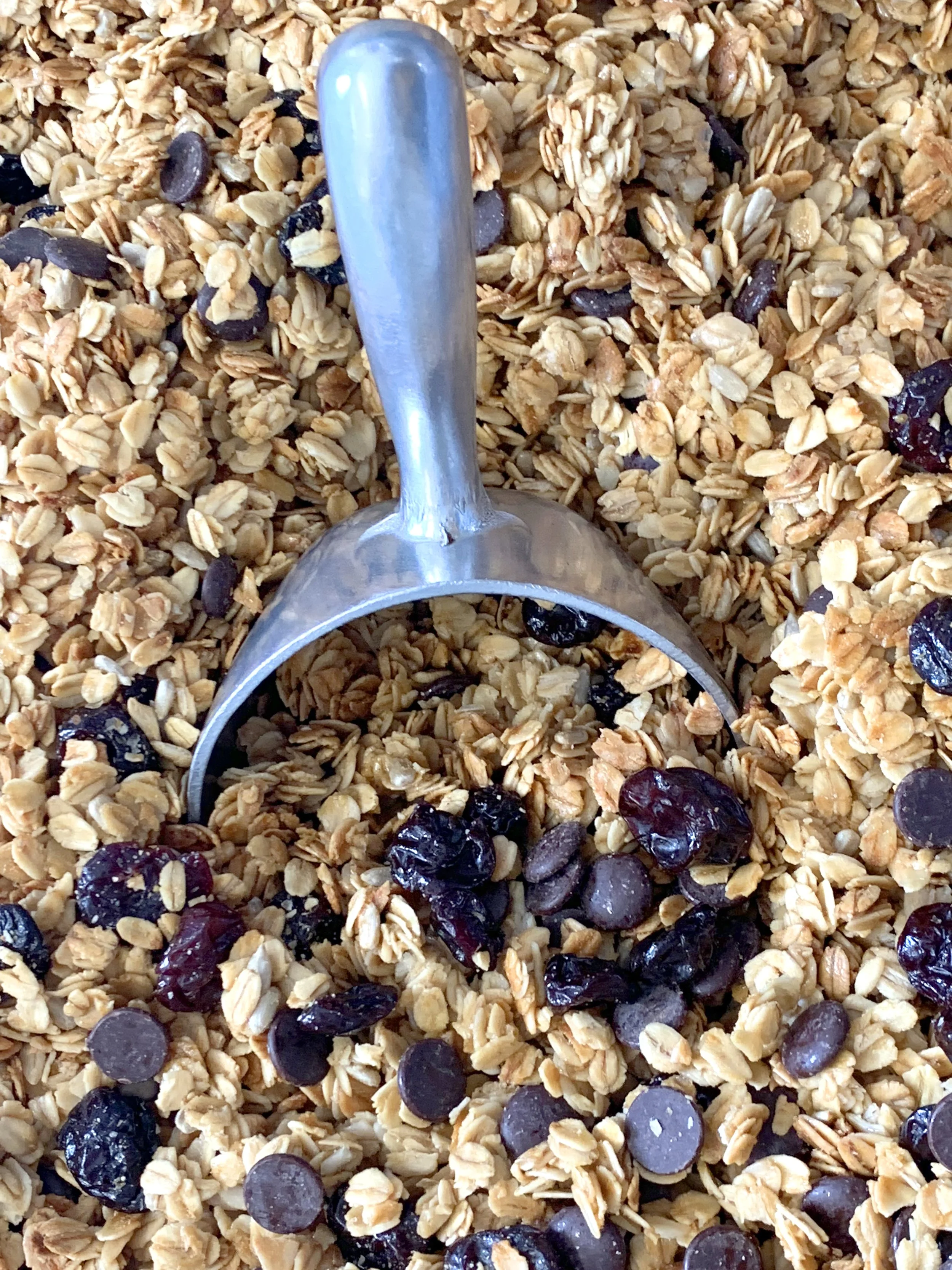 Dark Chocolate Cherry Granola - 1alt.jpg