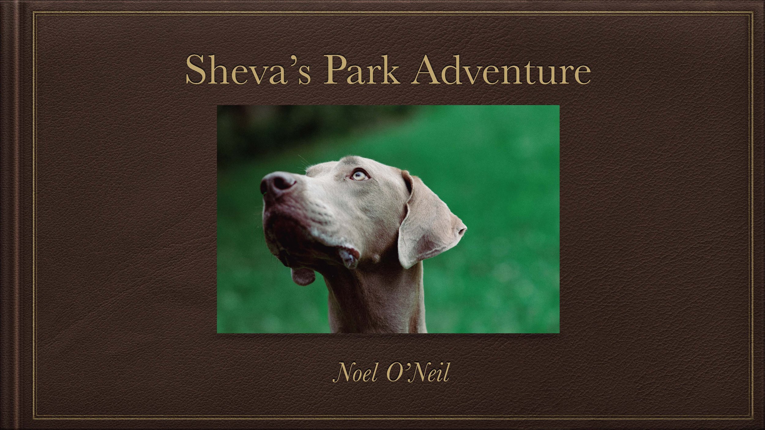 Sheeva_s Park Adventure Presentation_Page_01.jpg
