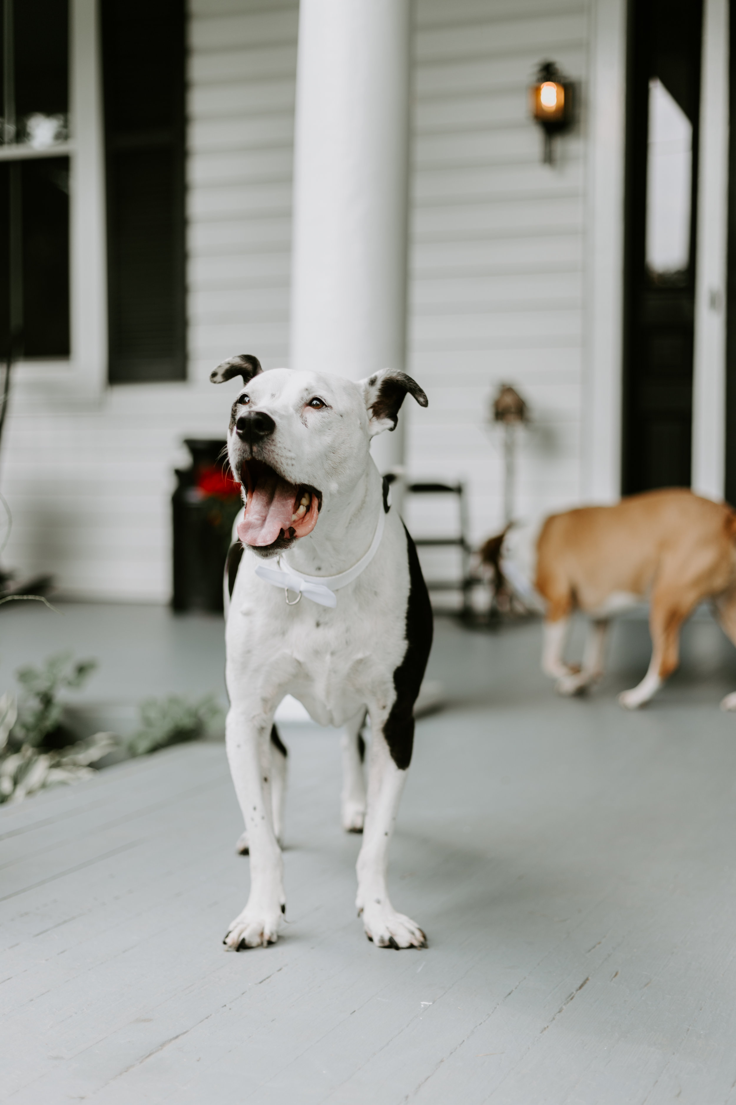 M&E-TheGernandsPhotography029.jpg
