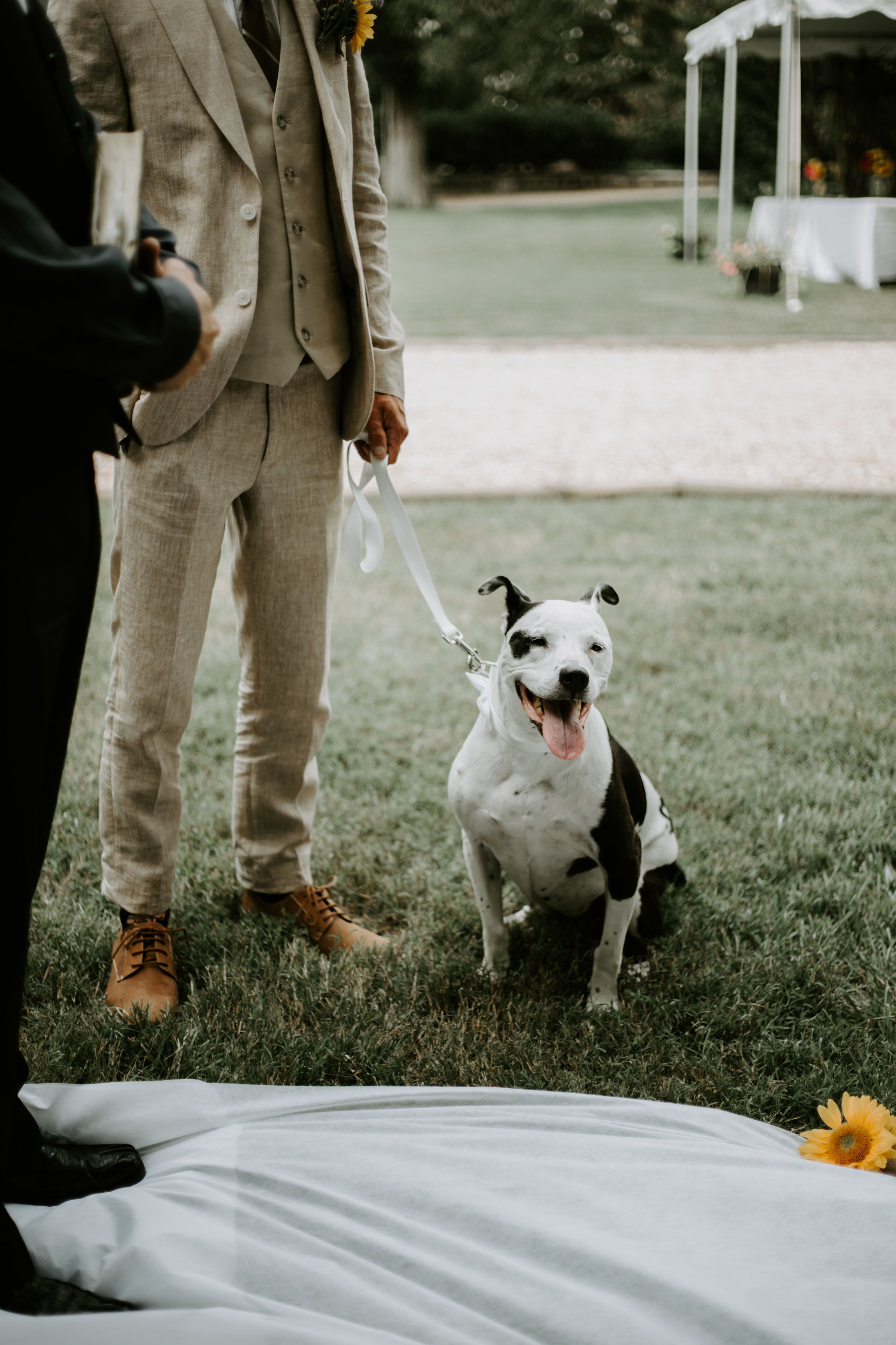 M&E-TheGernandsPhotography073.jpg