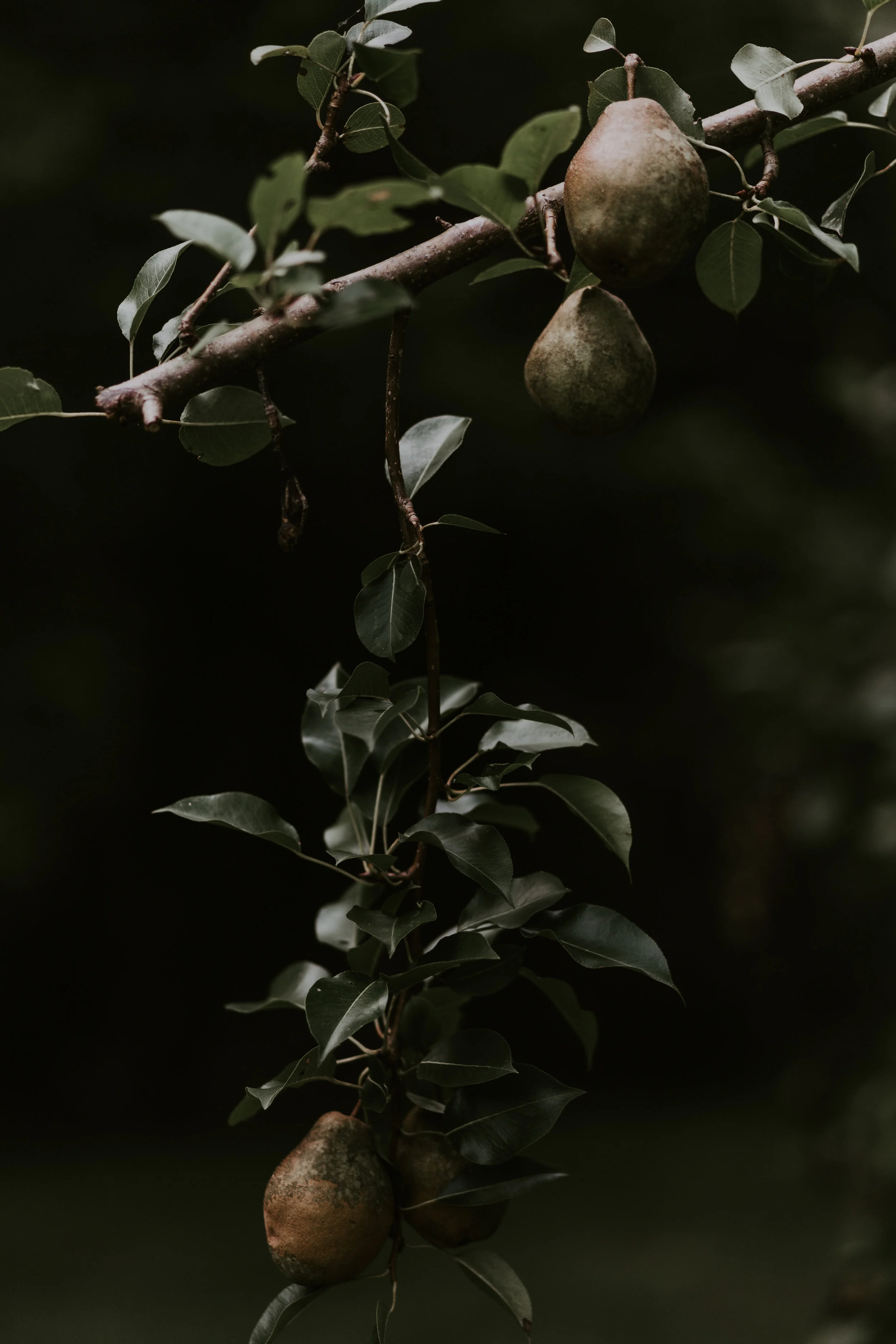 M&E-TheGernandsPhotography0181.jpg