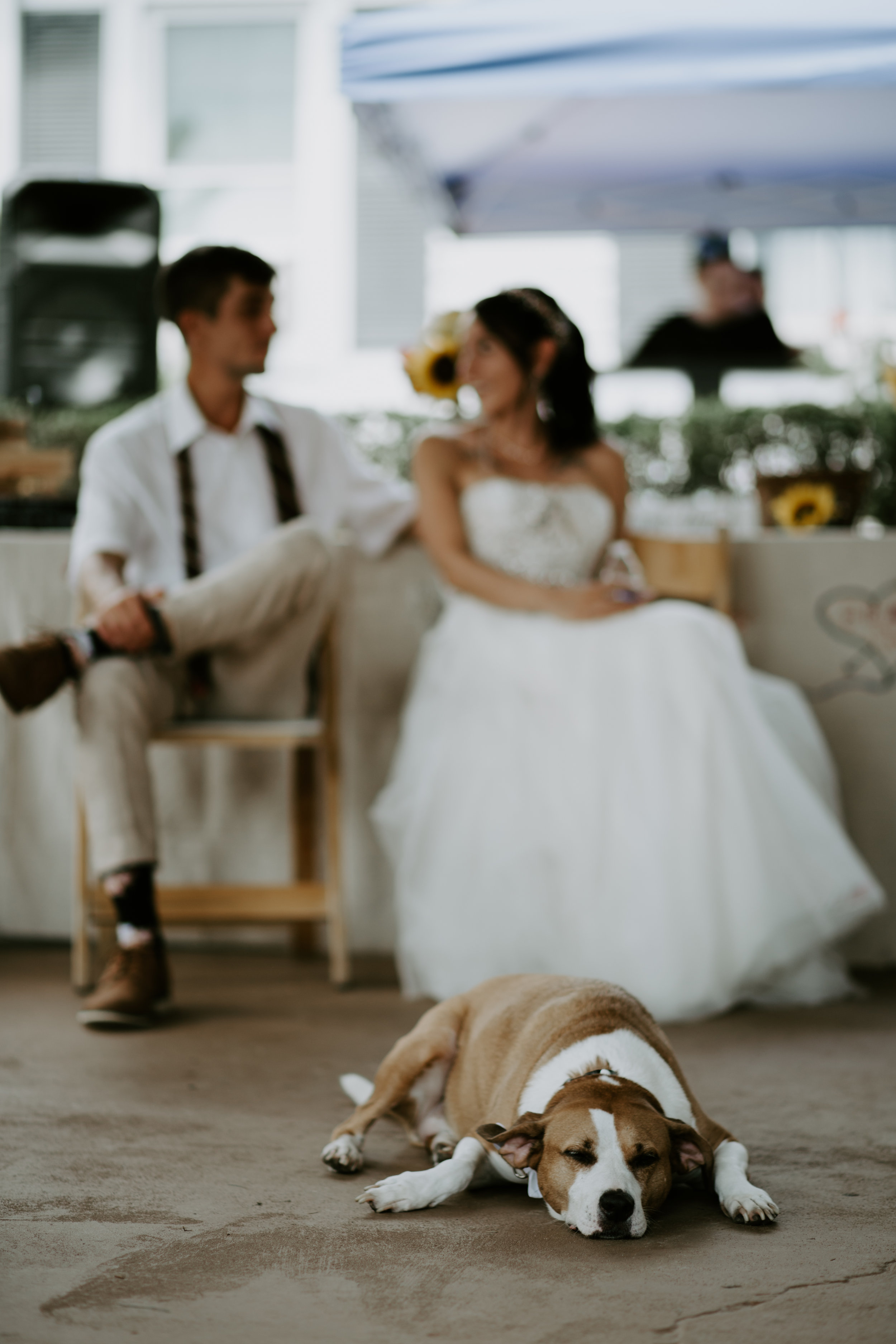 M&E-TheGernandsPhotography227.jpg