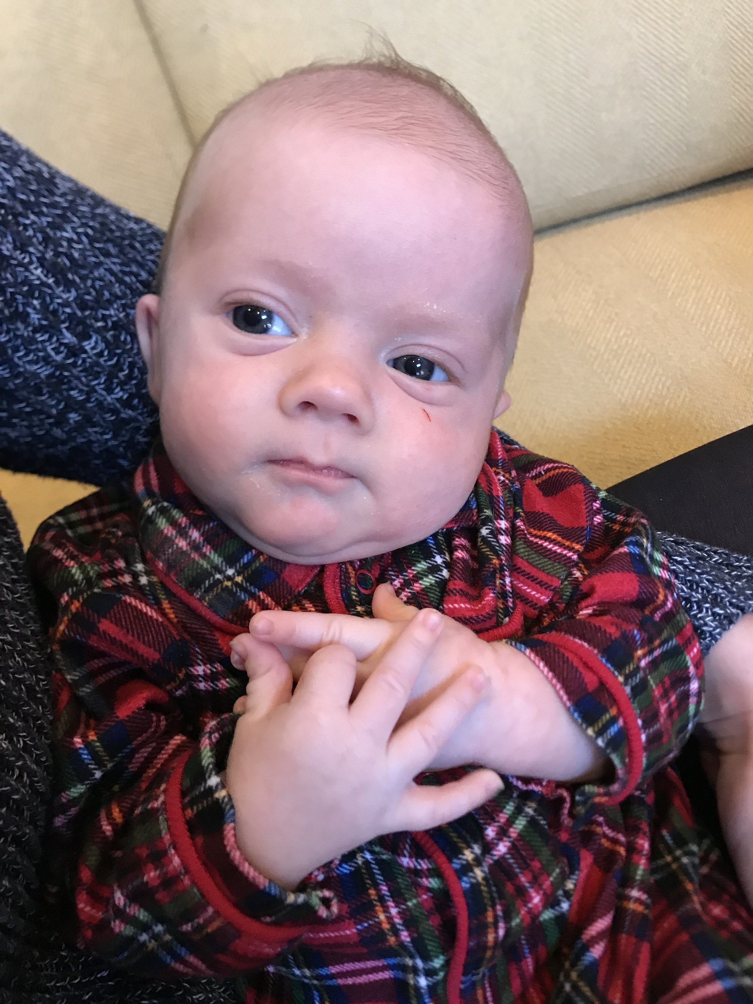 image1.jpeg