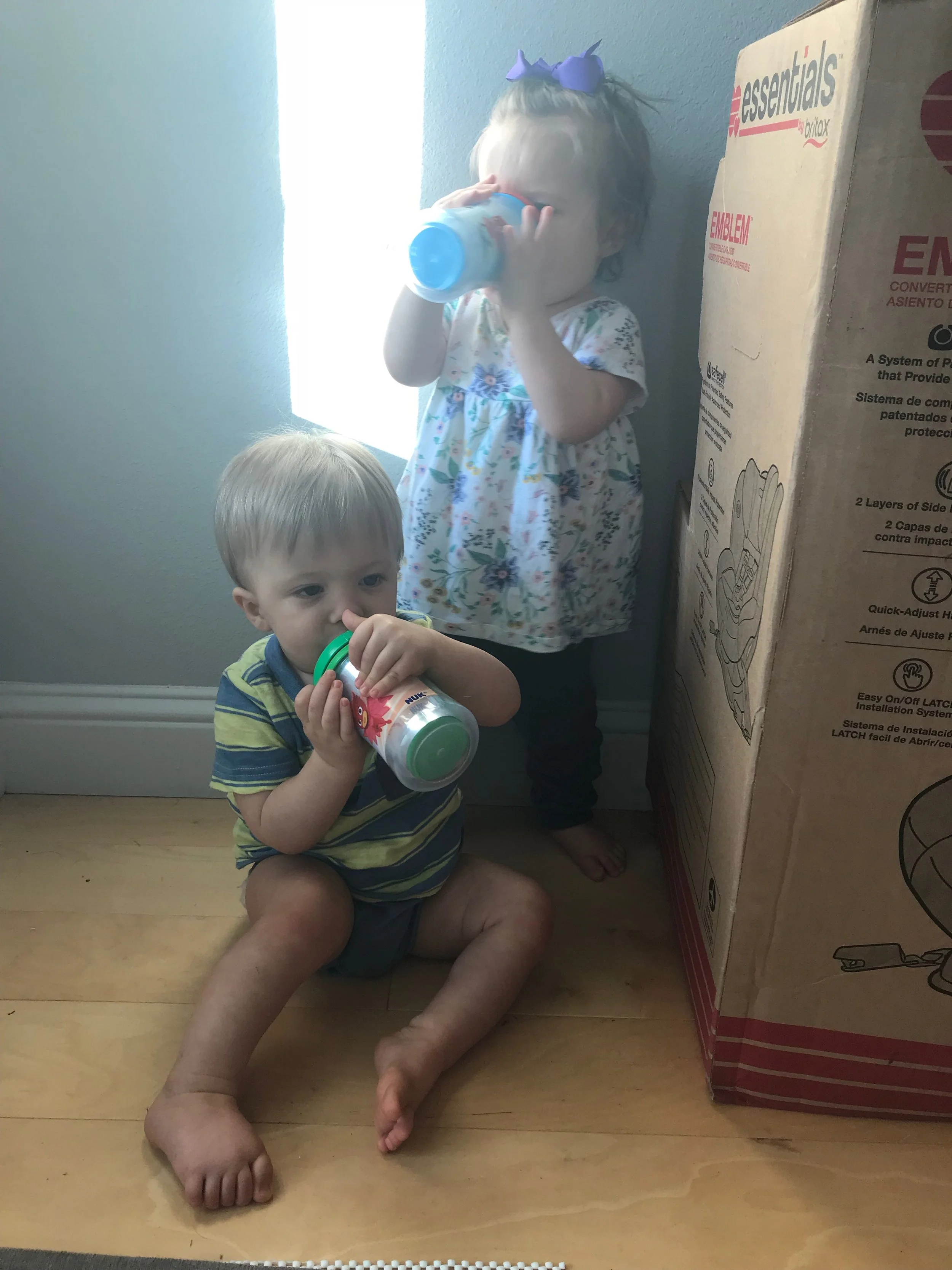 IMG_3701.jpeg