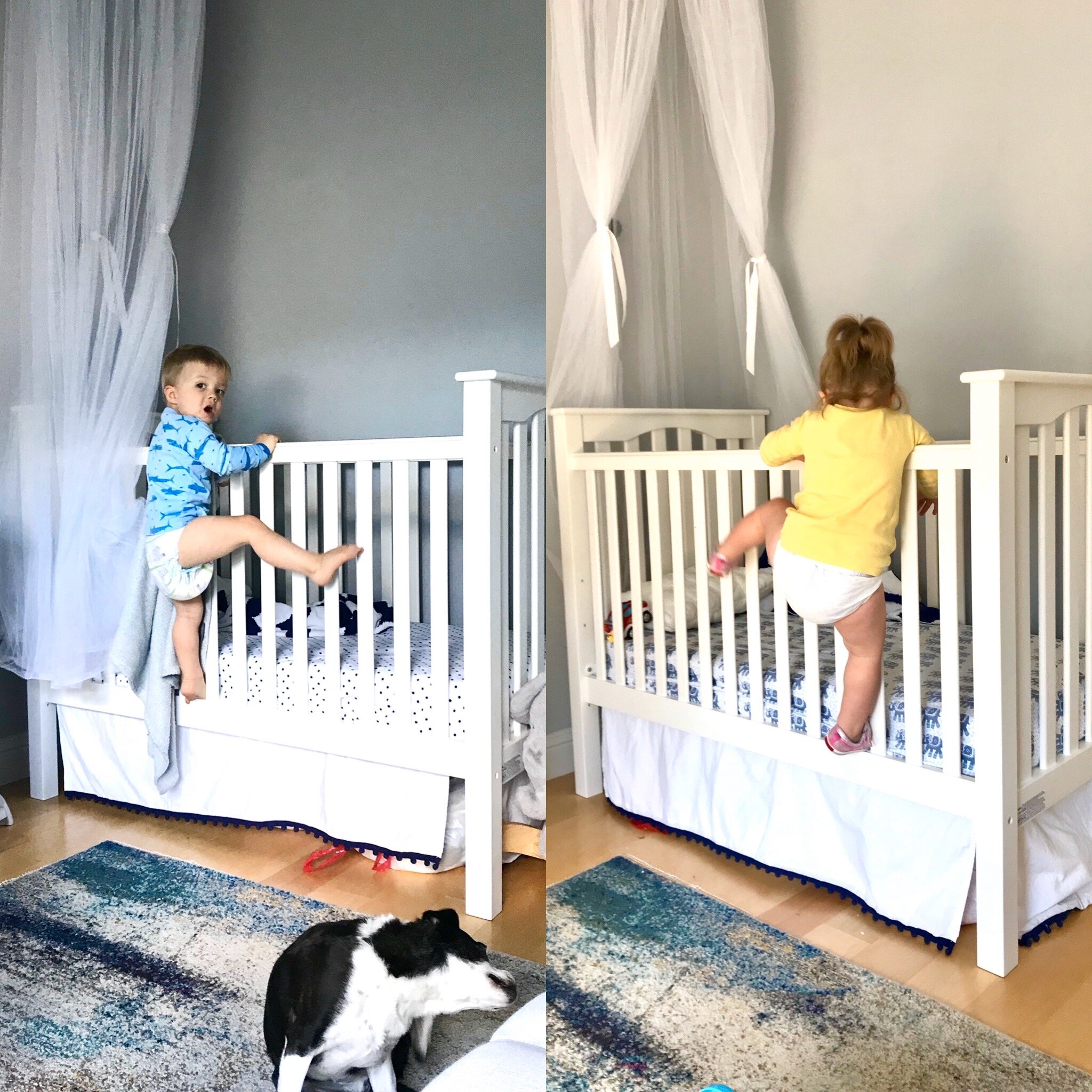 Cribs To Toddler Beds, How To Transition From Crib Twin Bed