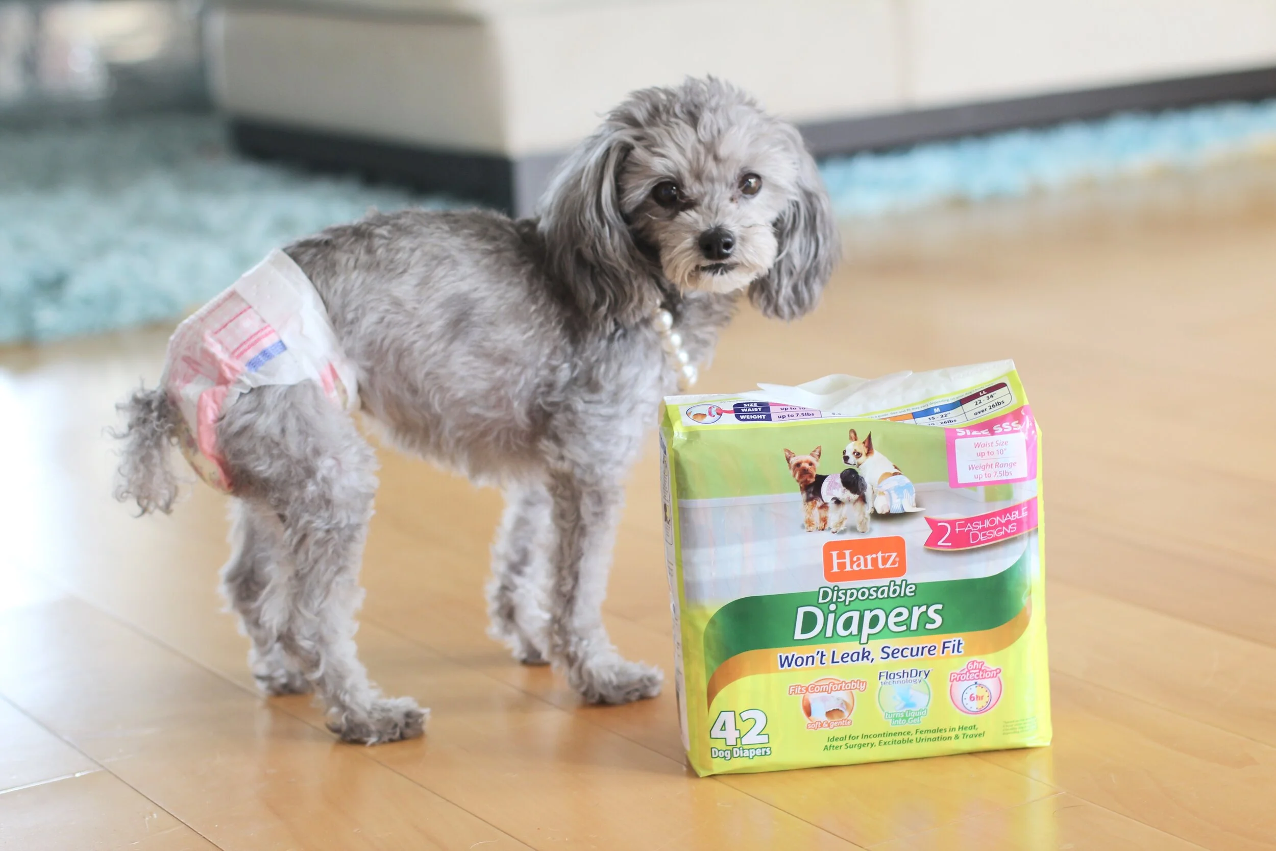 dog diapers for yorkies