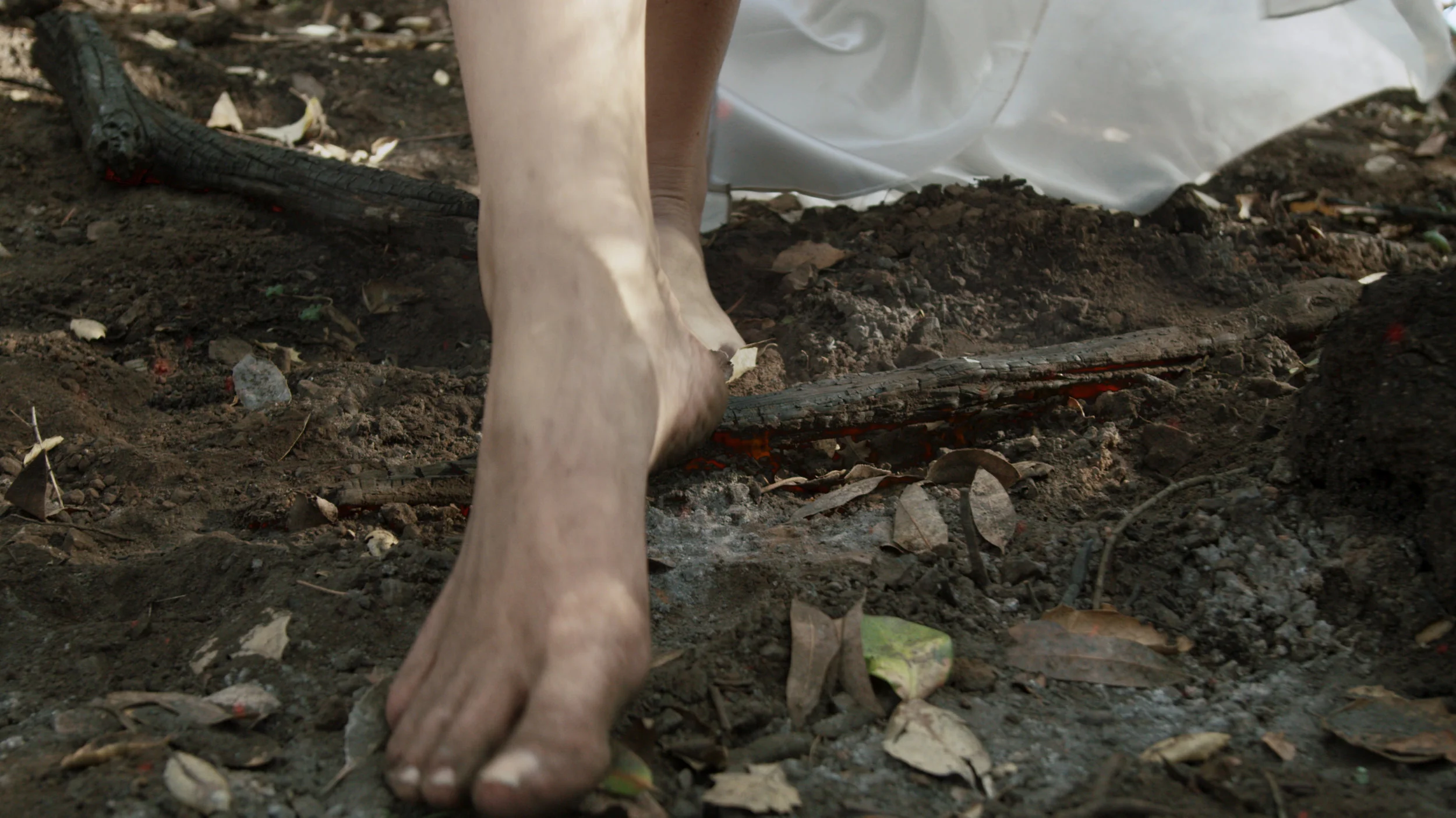 2018_TW_effect shot 1 final.jpg