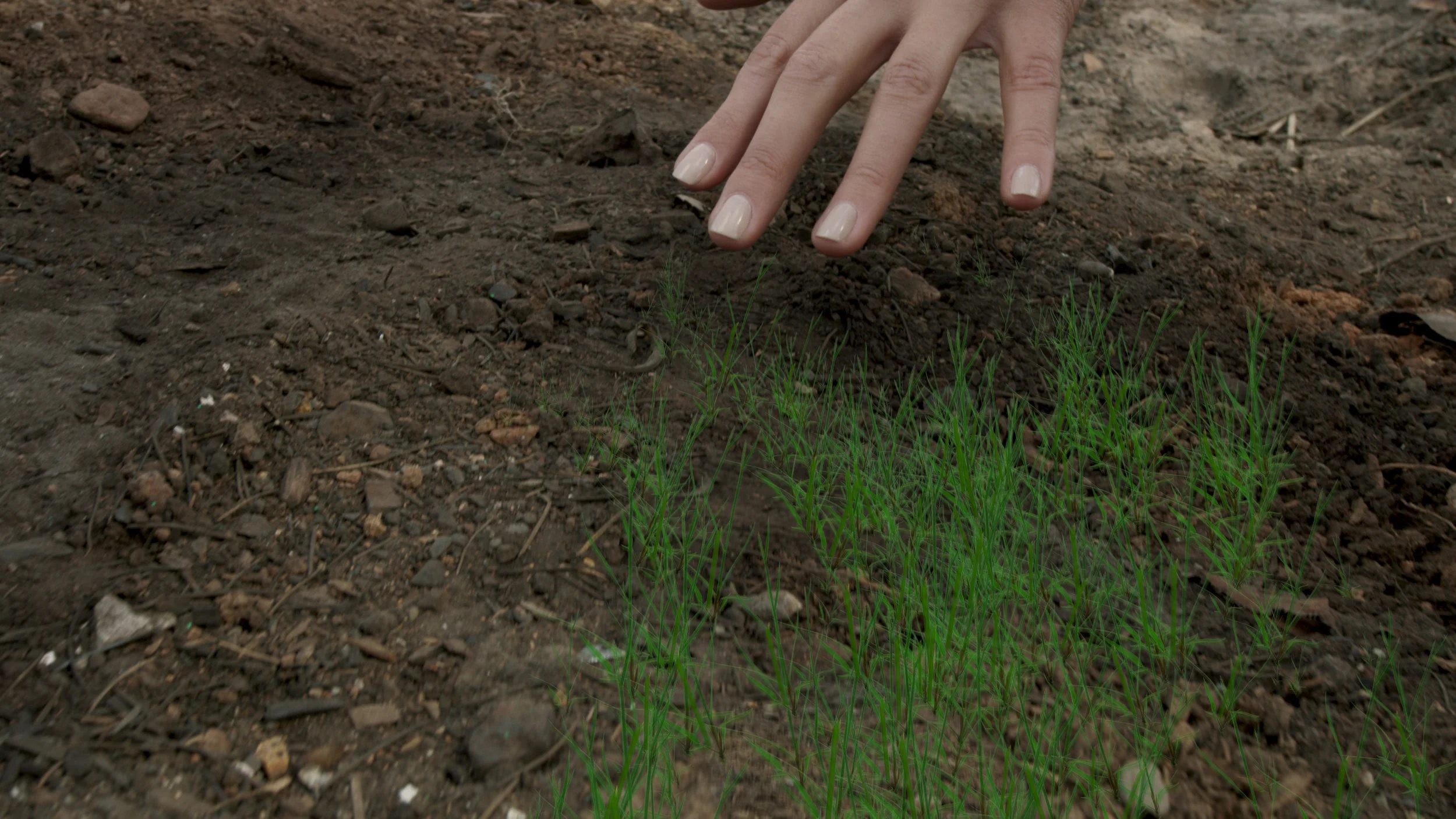 2018_TW_effect shot 2 final.jpg