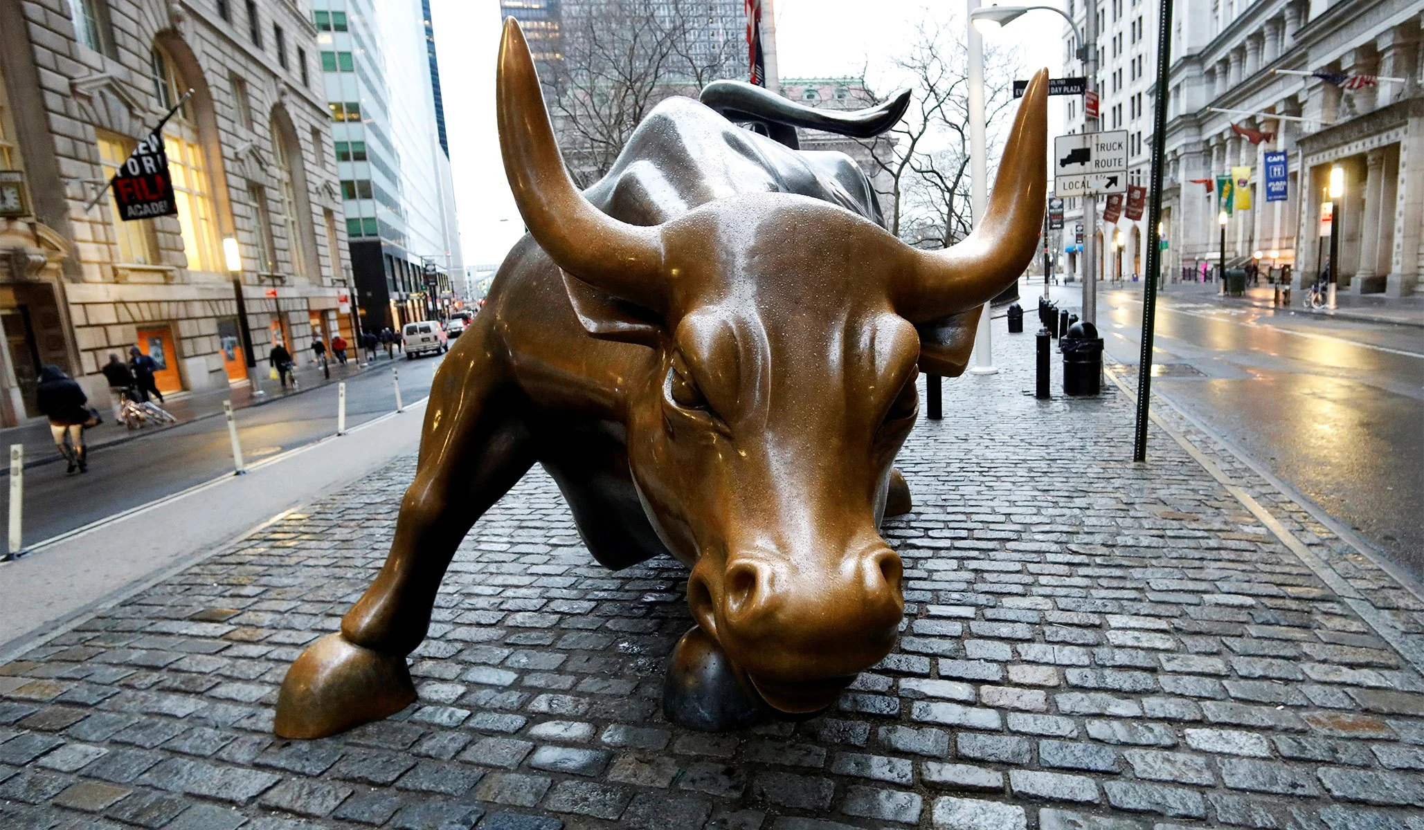 bull banner.jpg