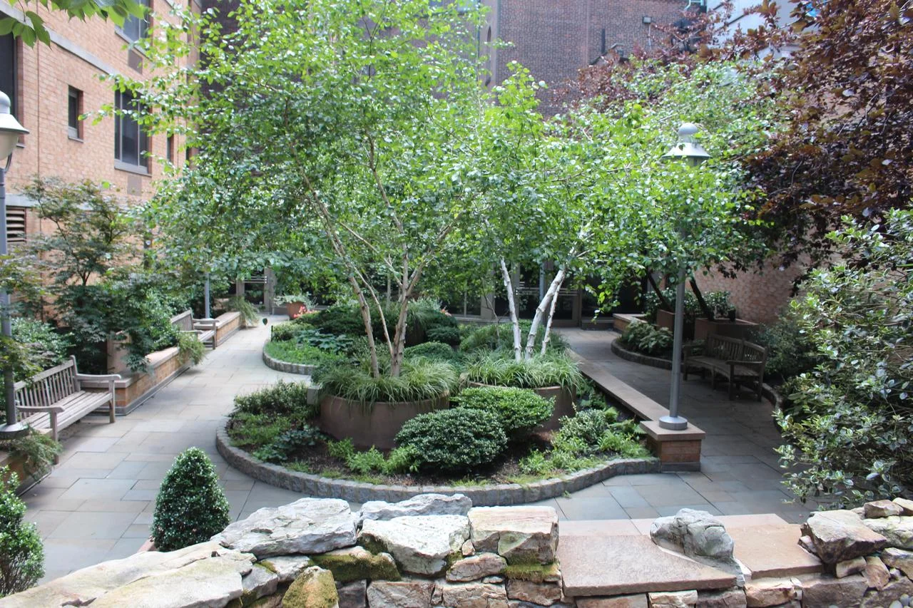 garden.jpg