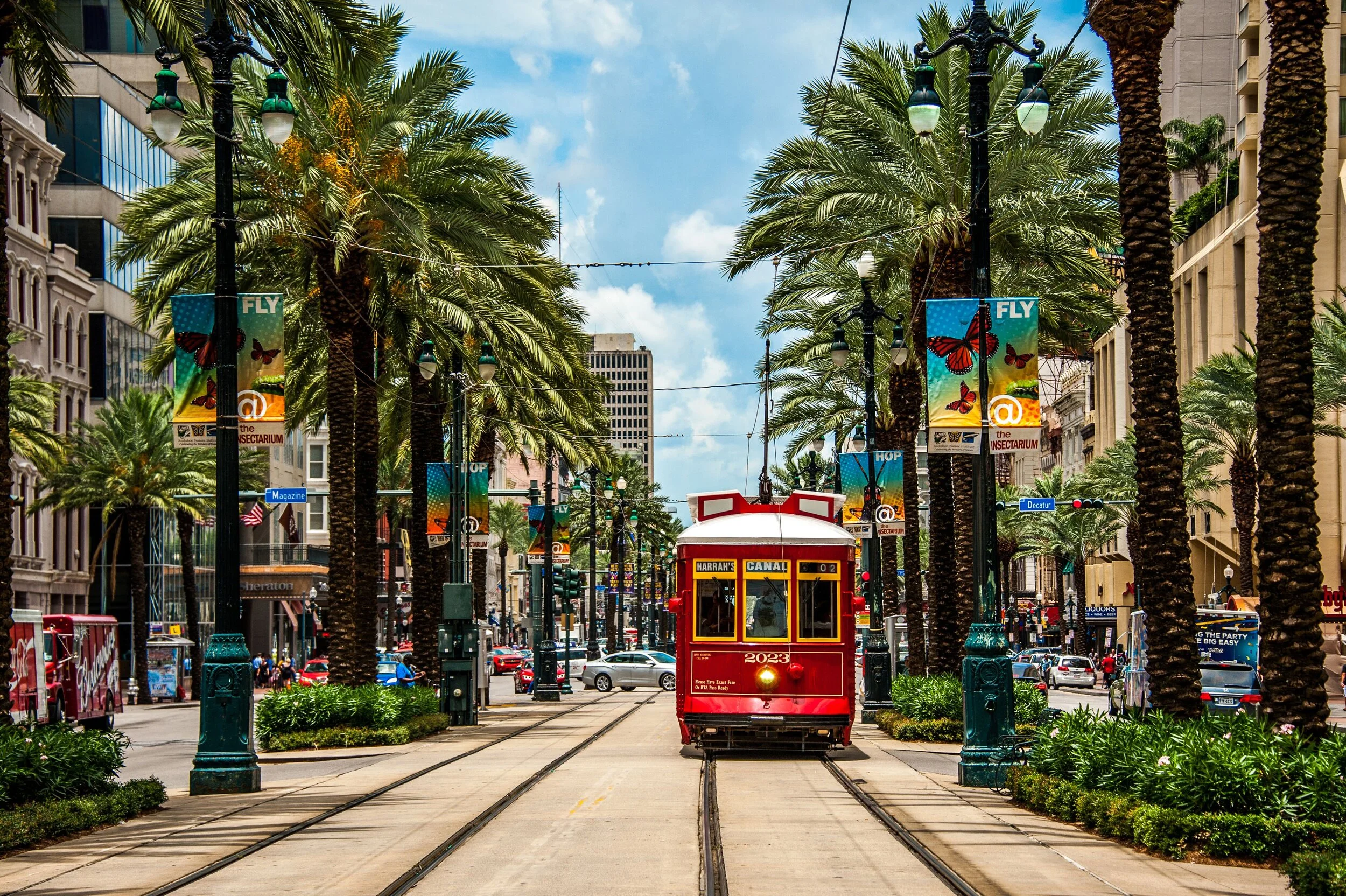streetcar-in-new-orleans-699112771-5a98de0d1f4e130036d2e855.jpg