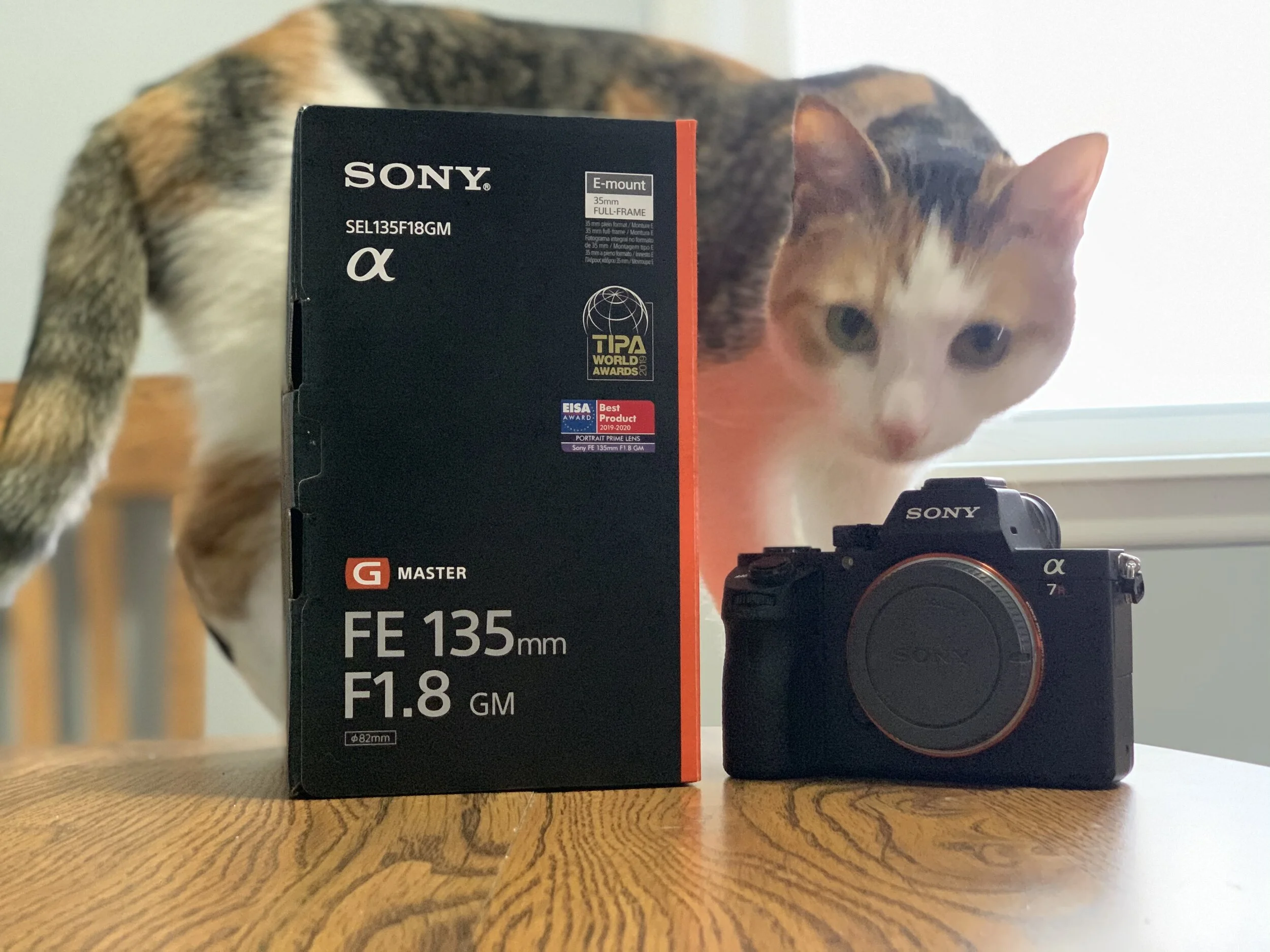 New Gear : Sony a7R II (Part 2 of 2)