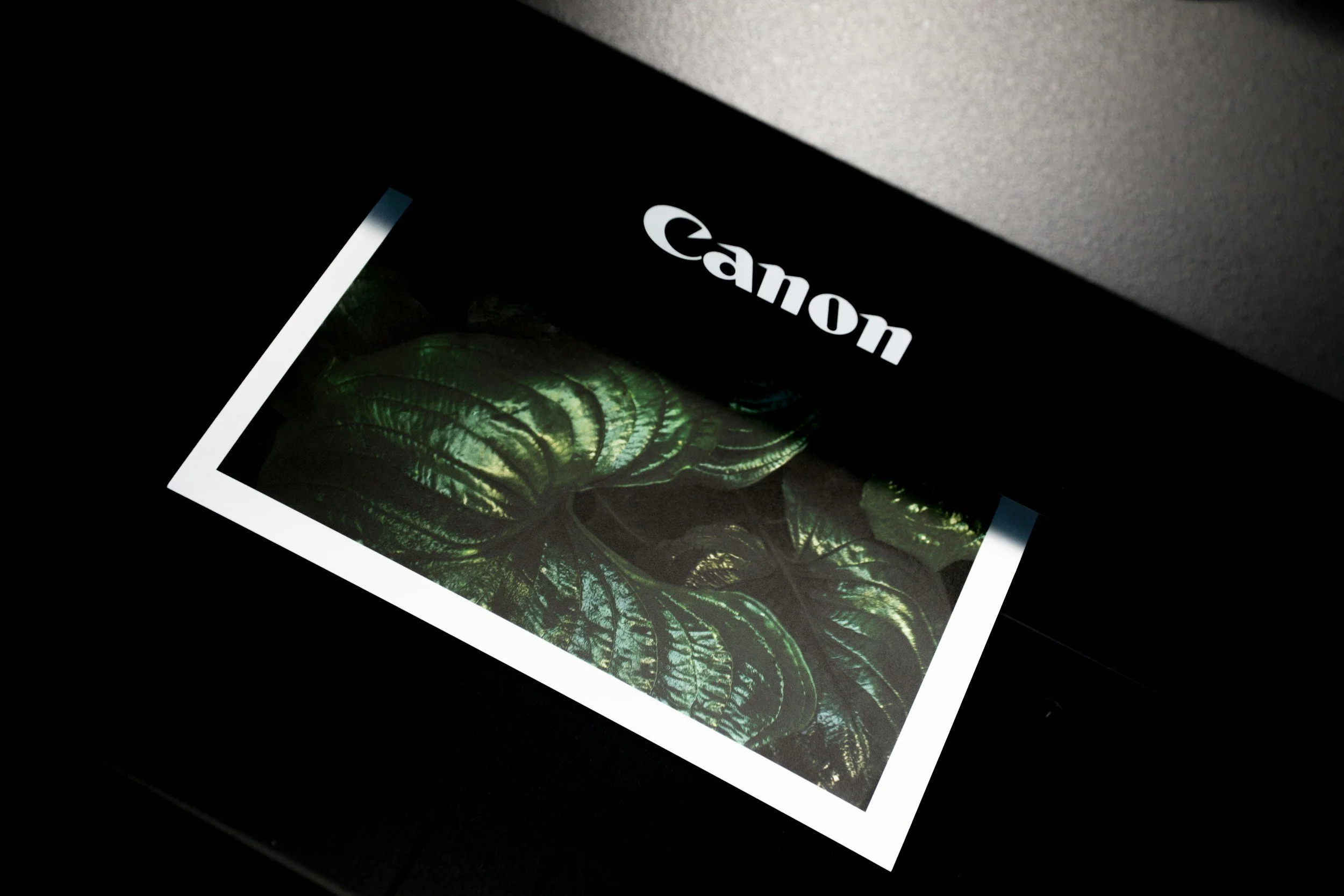 Part 1: Canon Imageprograf Pro-1100 