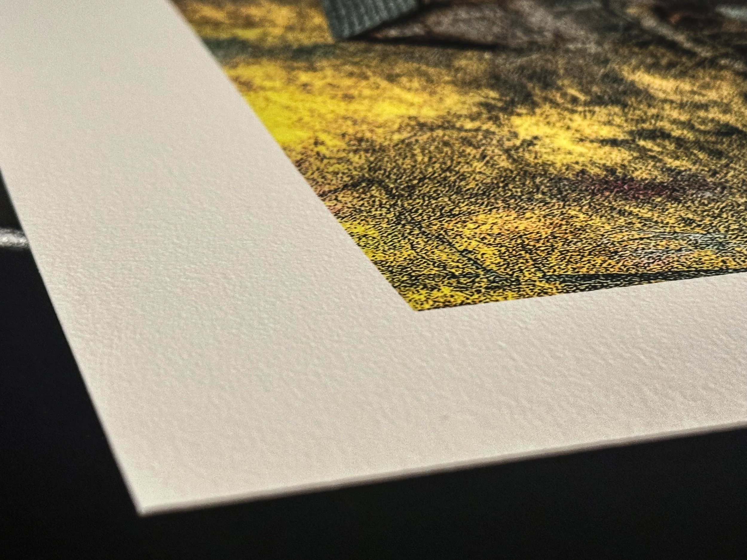 Hahnemühle Fine Art Paper: William Turner Paper and Museum Etching Paper Comparison