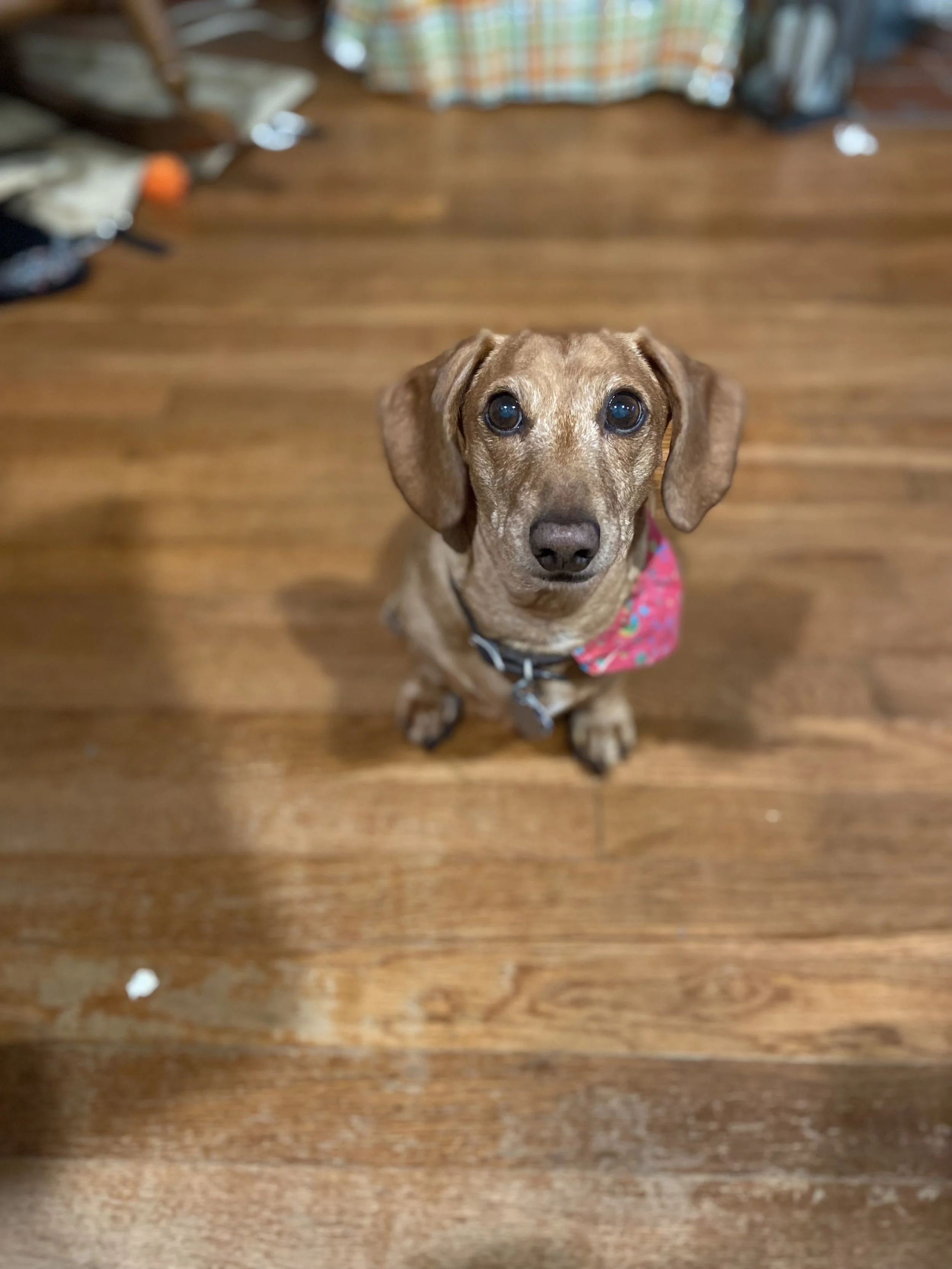 IMG_4615.jpeg