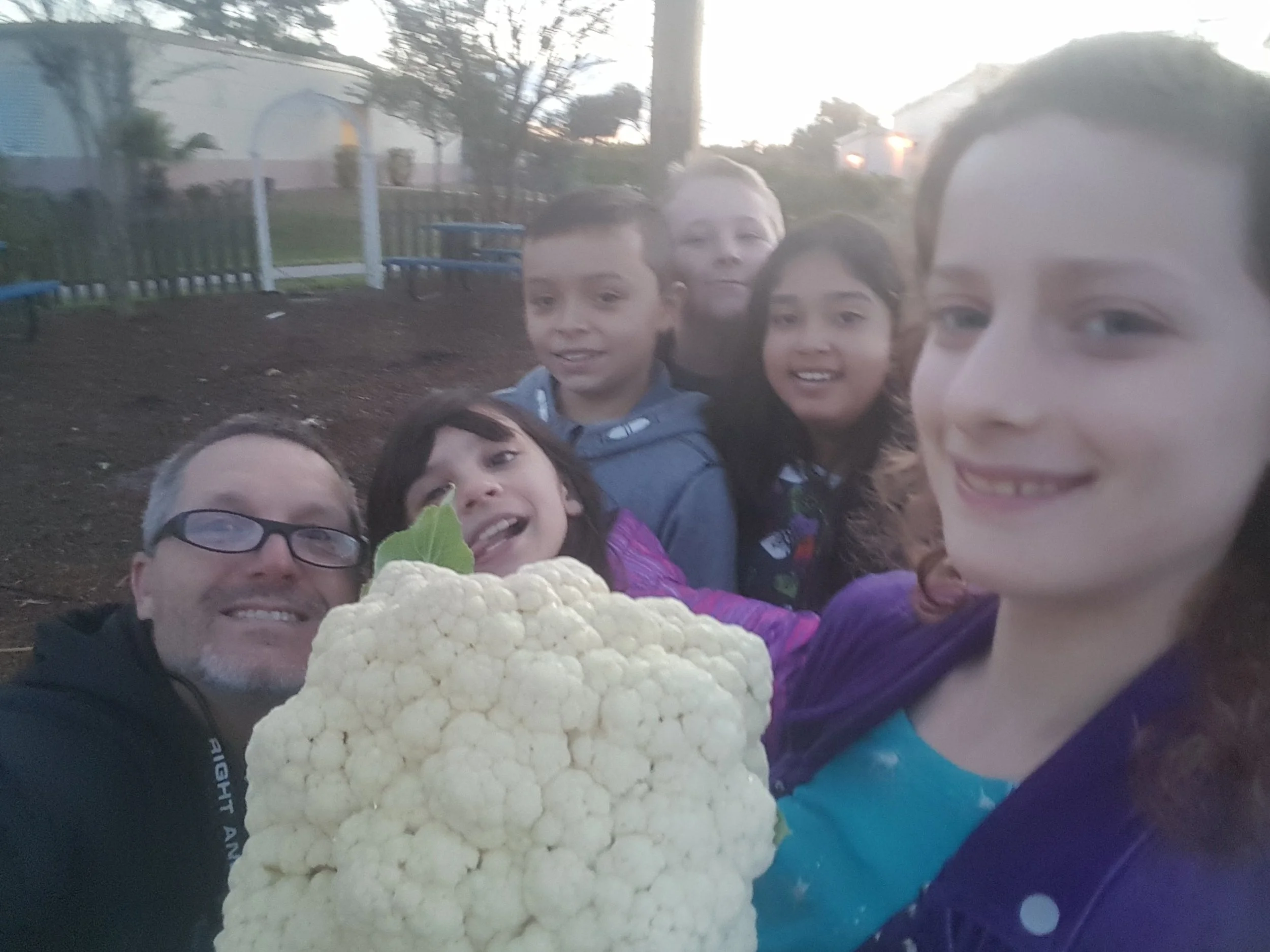 Mark and his students check the rapidly growing cauliflower they are growing in the school garden. 