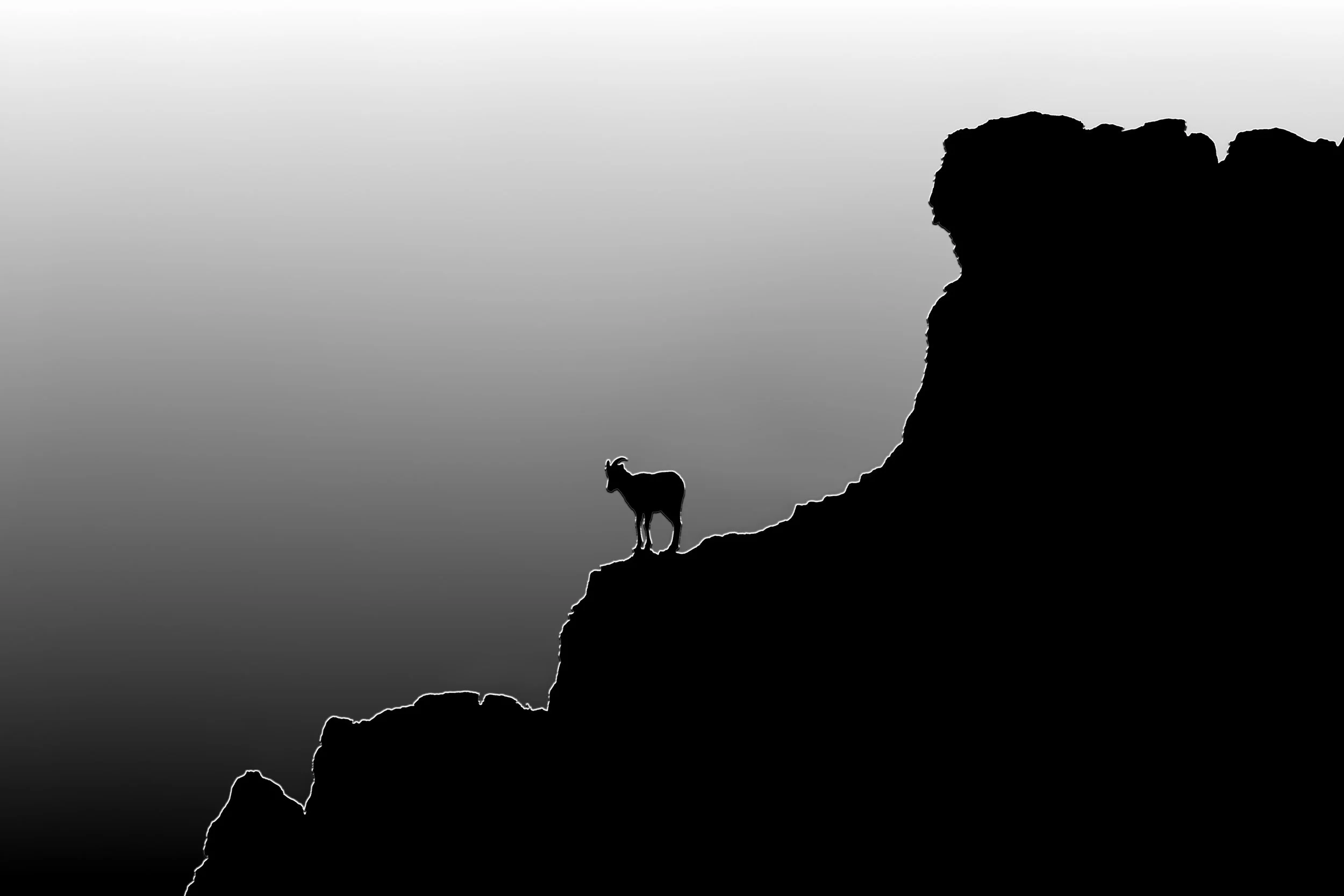 Big Horn Sheep On Miller's Butte