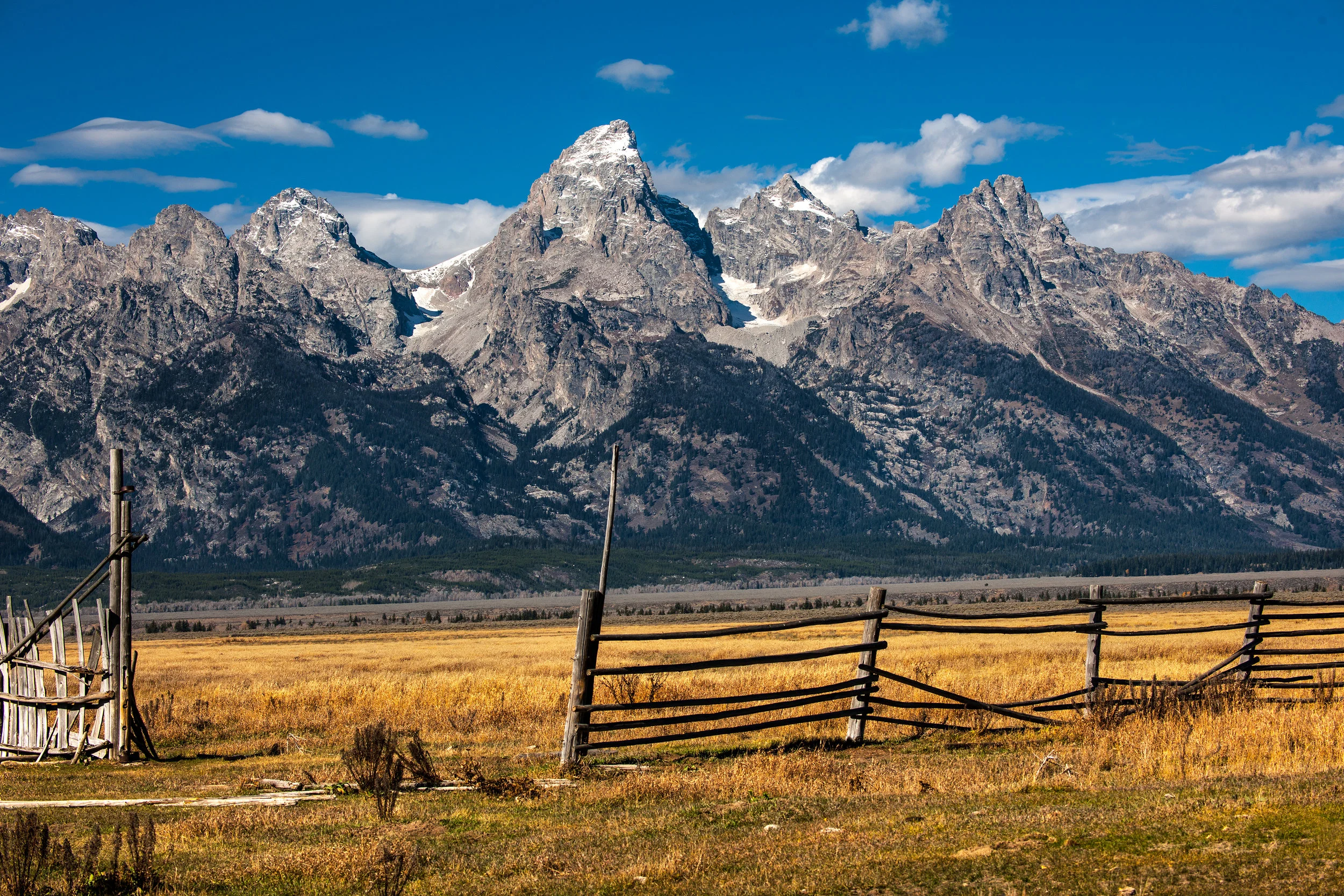 Antelope Flats Fences