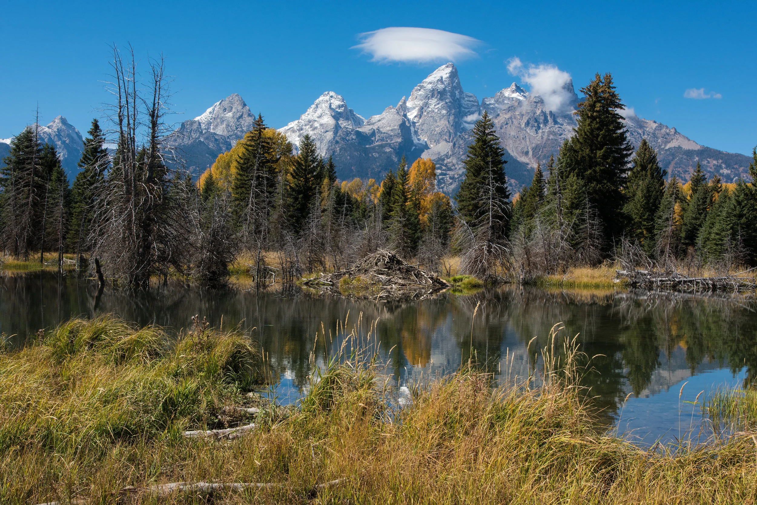Schwabacher Landing Ponds