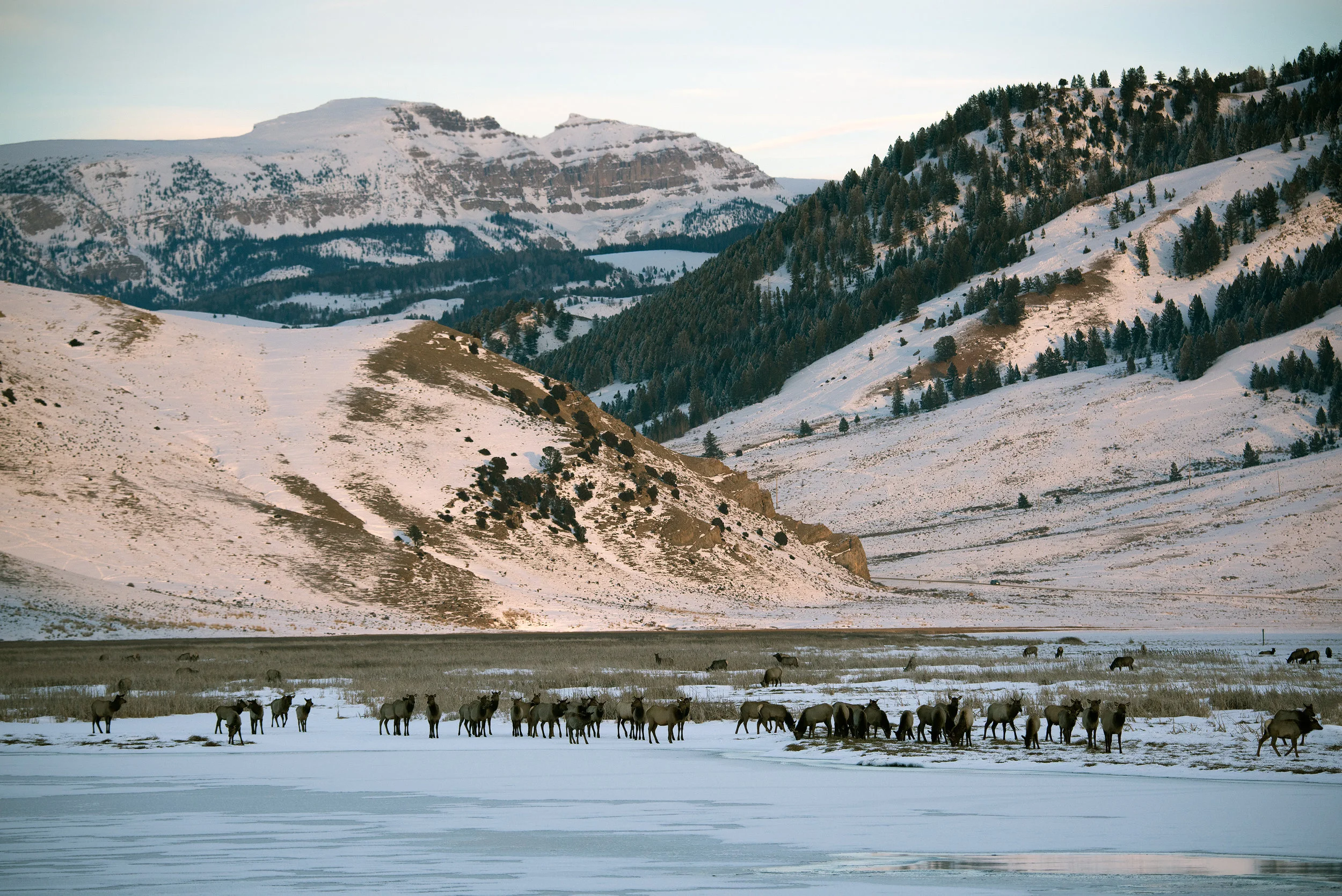 Spring Thaw On The Refuge