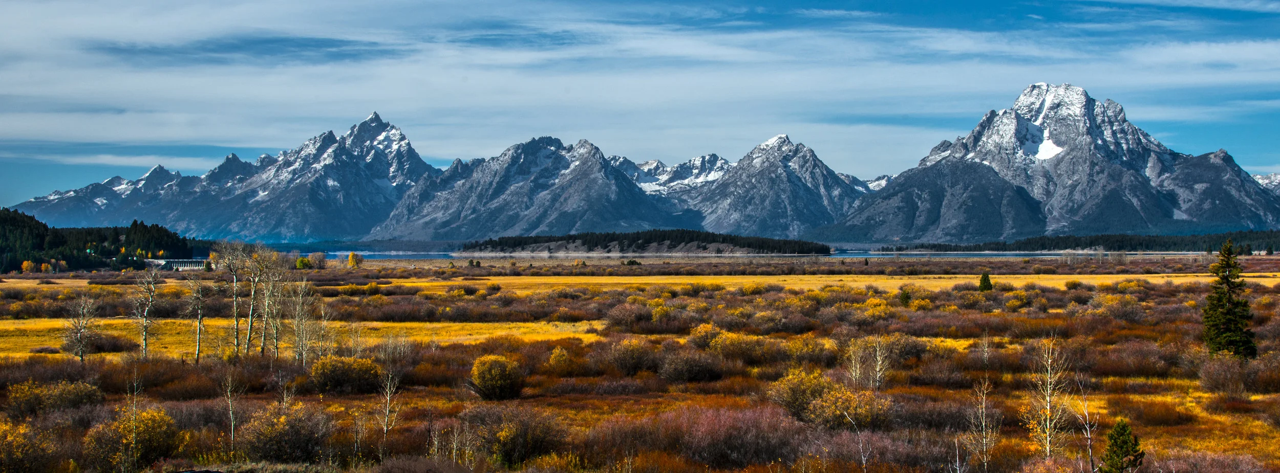Willow Flats In September