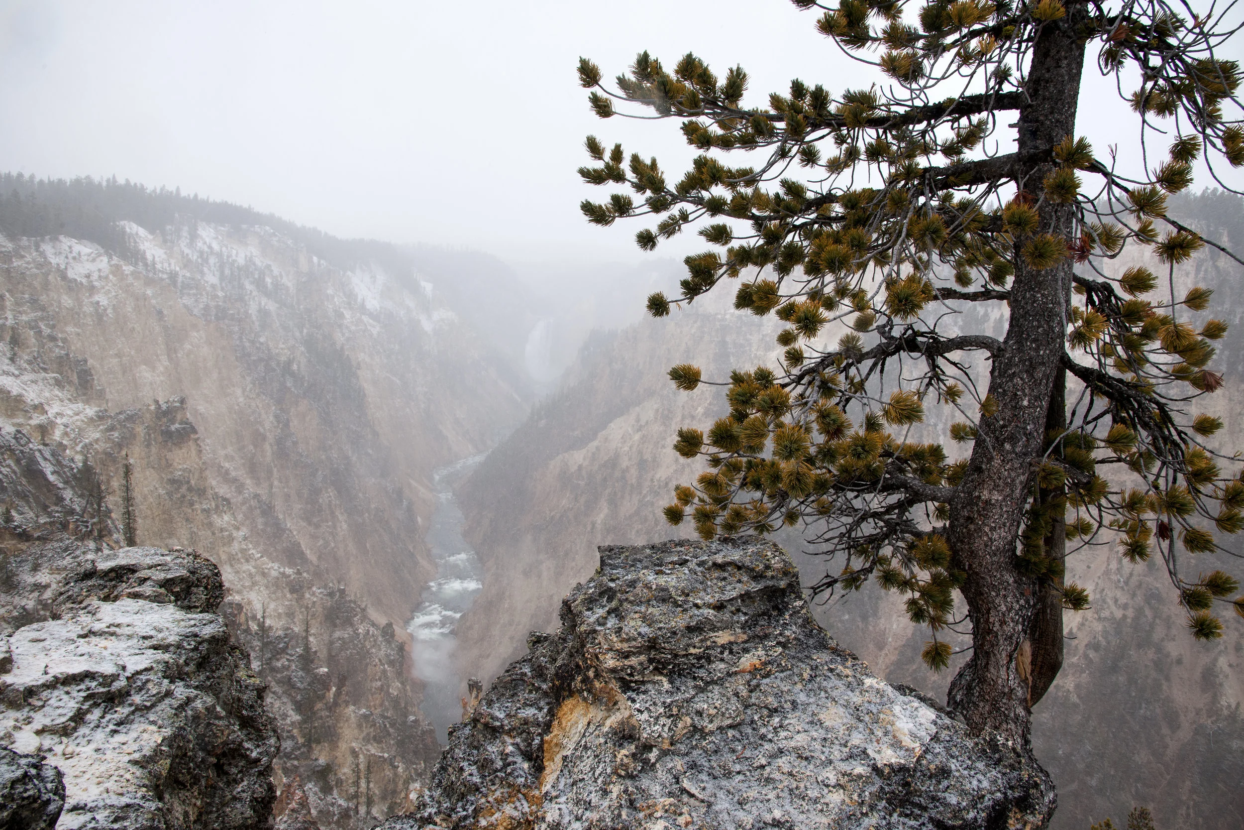 Artist Point In Winter