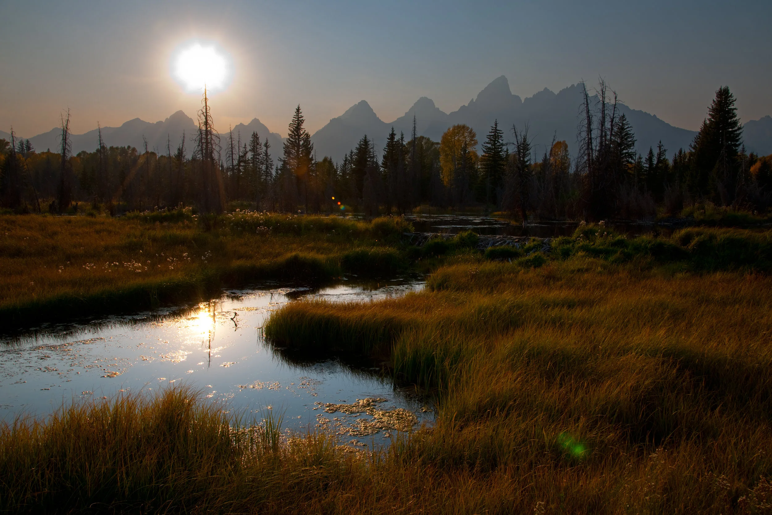 Schwabacher Landing At Sunset