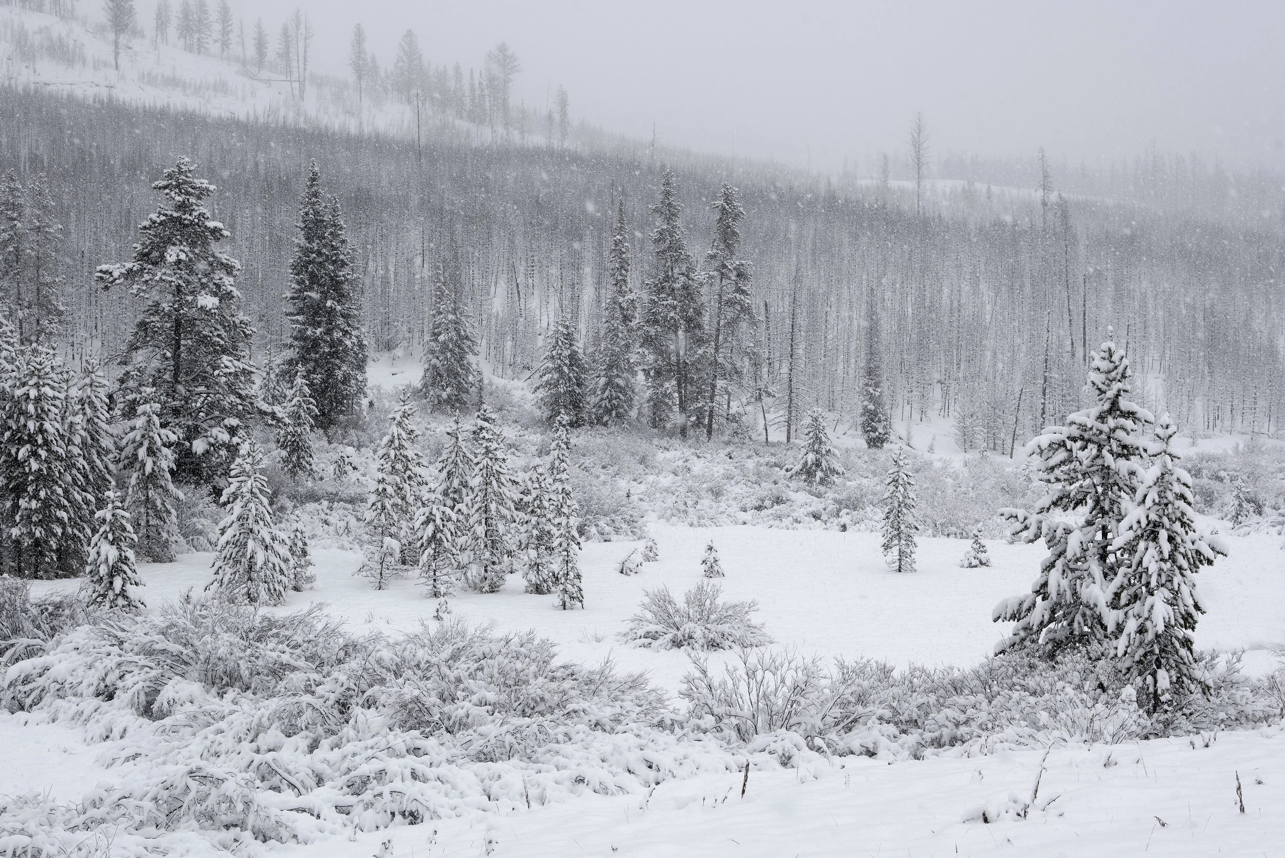Winter In Grand Teton National Park