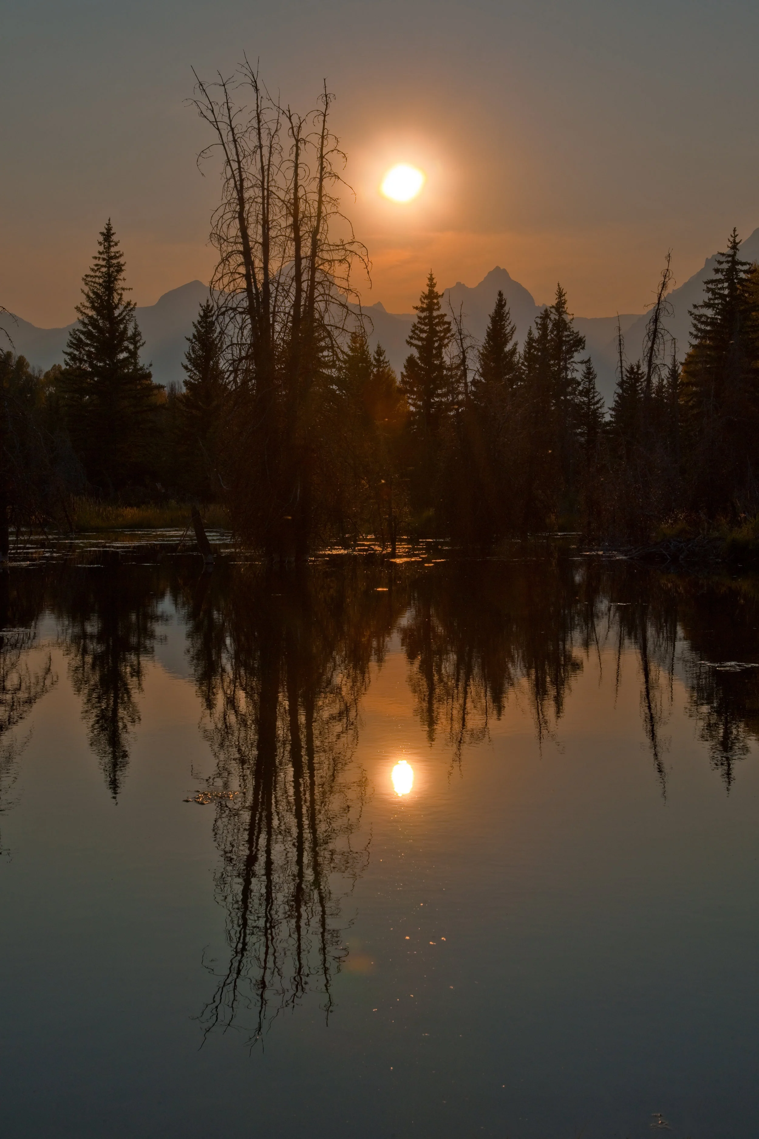 Sunset At Schwabacher Landing