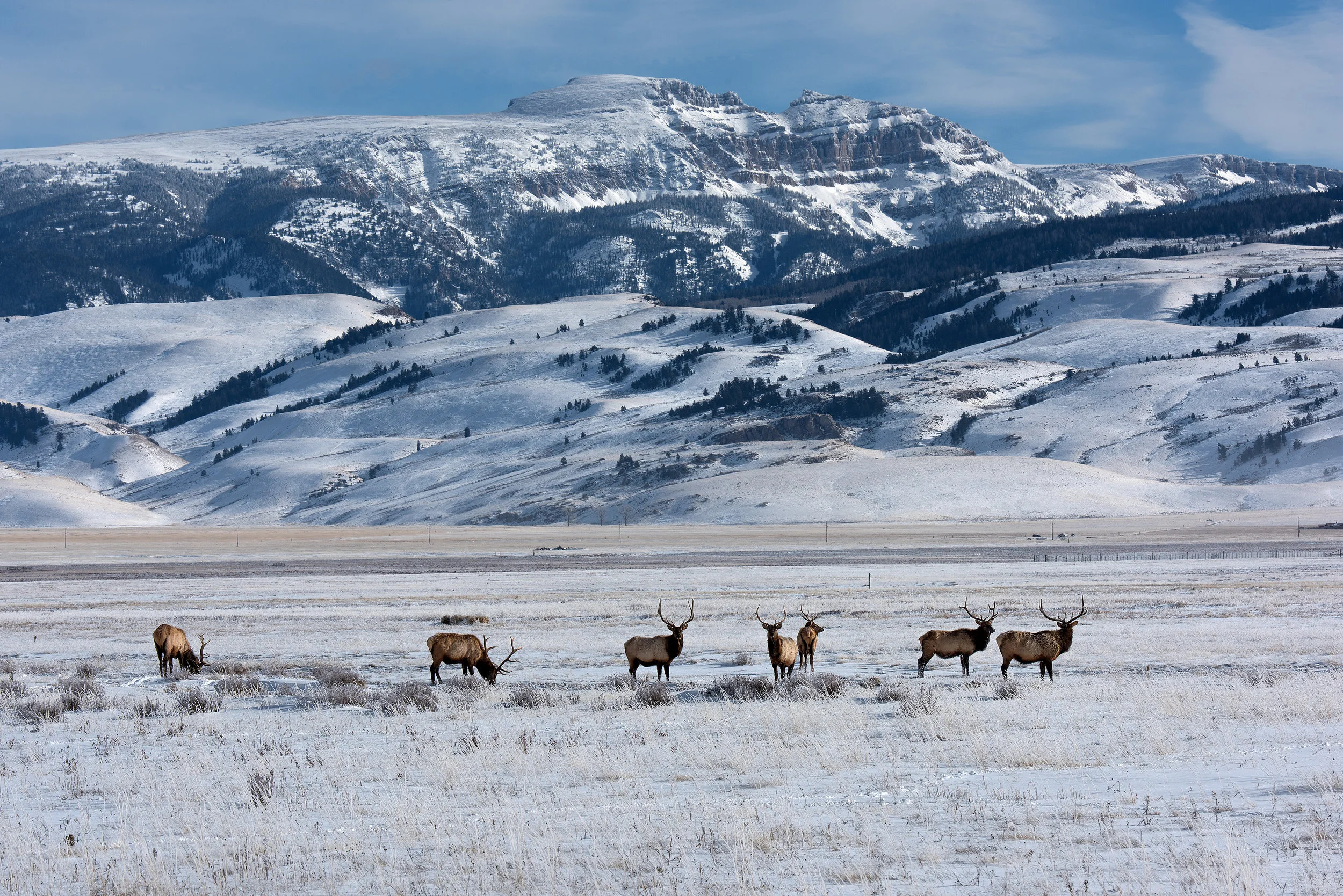Winter On The Refuge