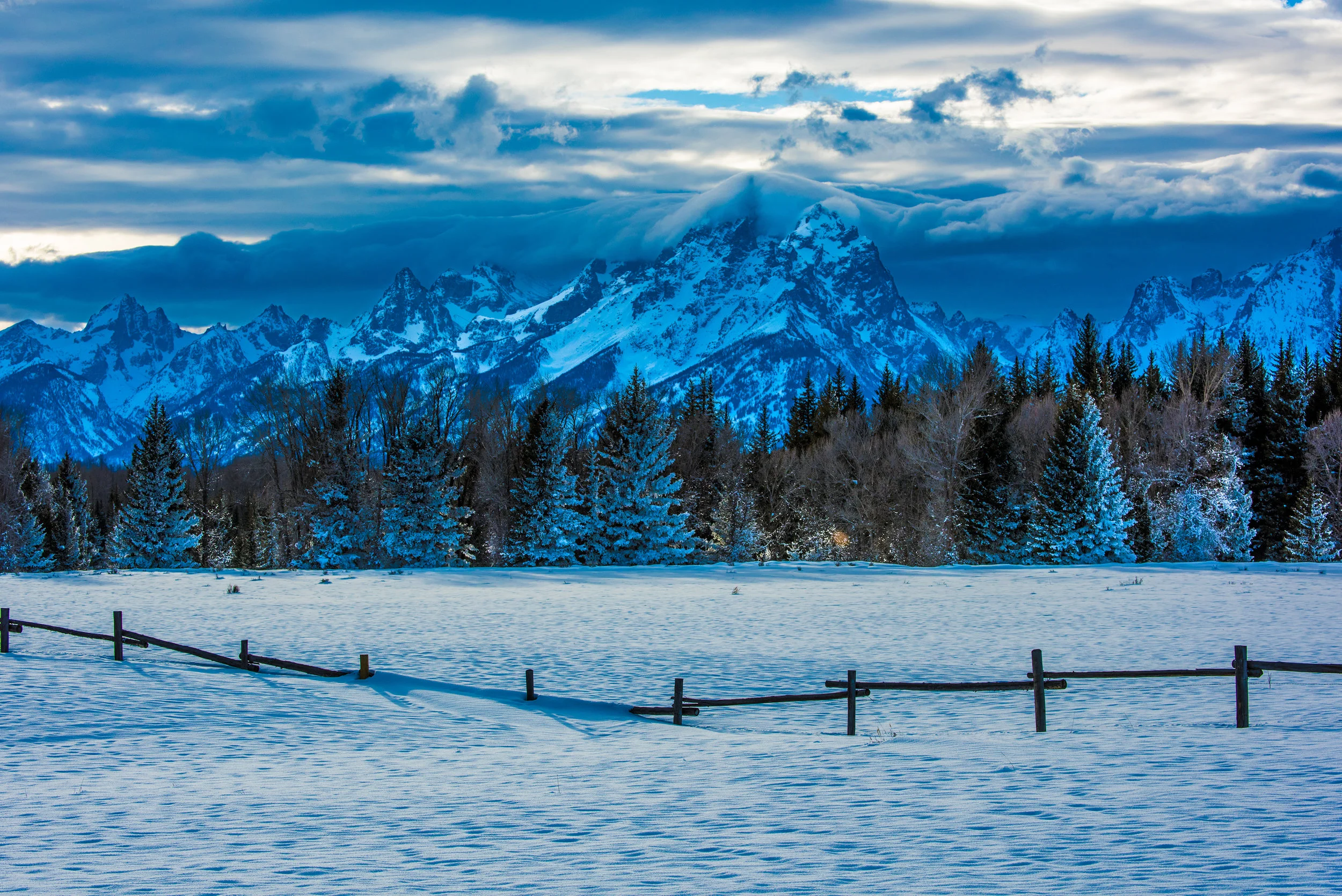 Teton Fences
