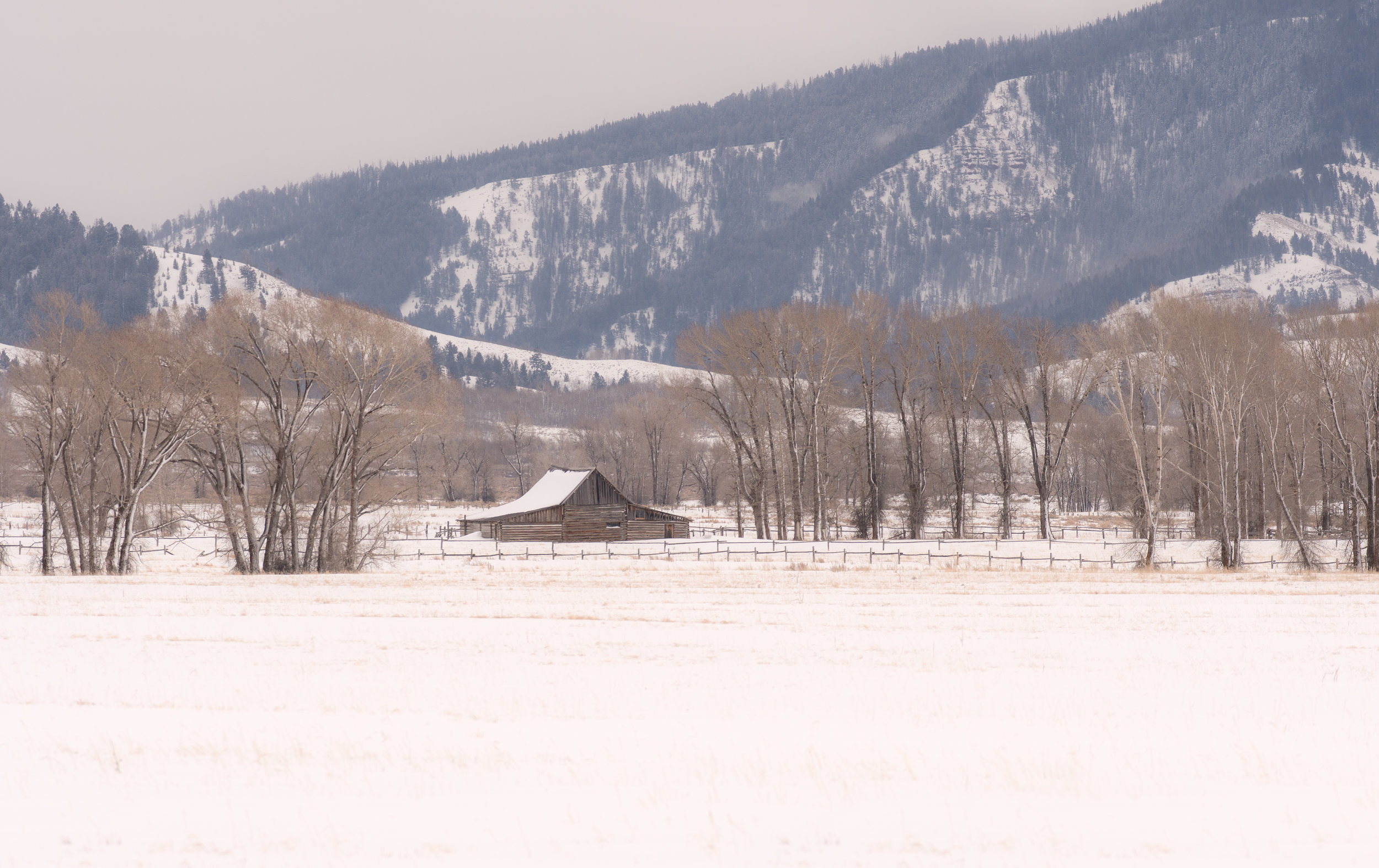 Moulton Barn Winter