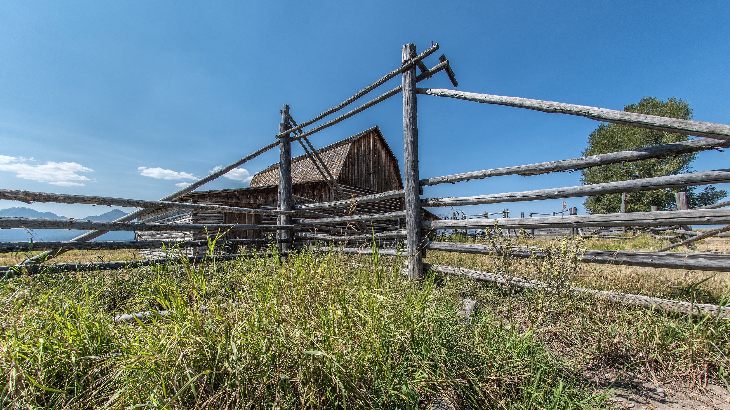 Old Fences On Mormon Row