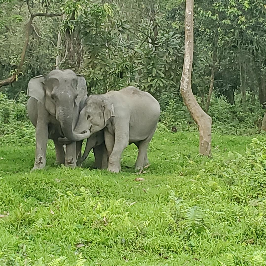mama and baby.jpeg