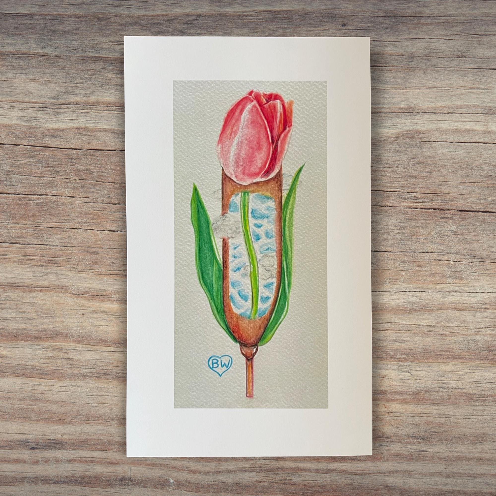 https://i.etsystatic.com/13592581/r/il/af4cf6/6704449205/il_fullxfull.6704449205_ngcg.jpg